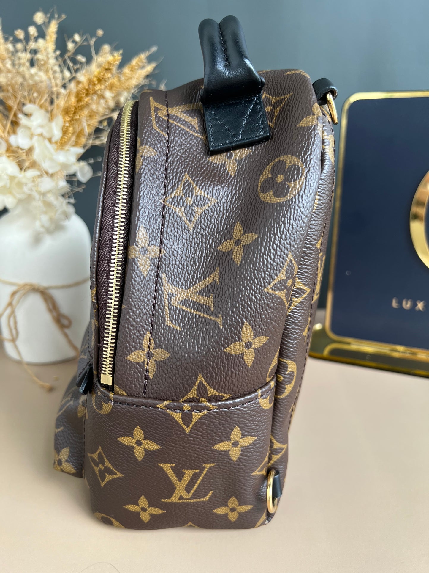 LOUIS VUITTON PALMSPRING MINI MONOGRAM