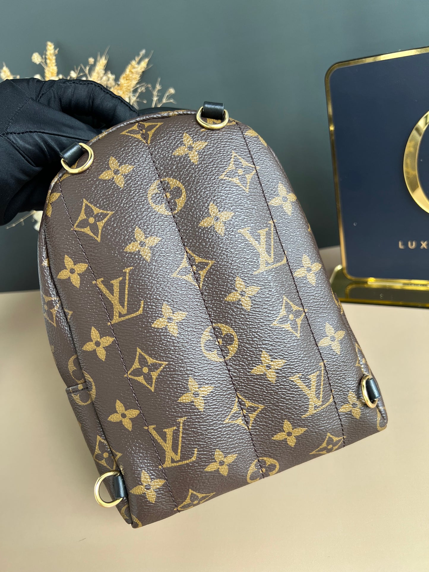 LOUIS VUITTON PALMSPRING MINI MONOGRAM