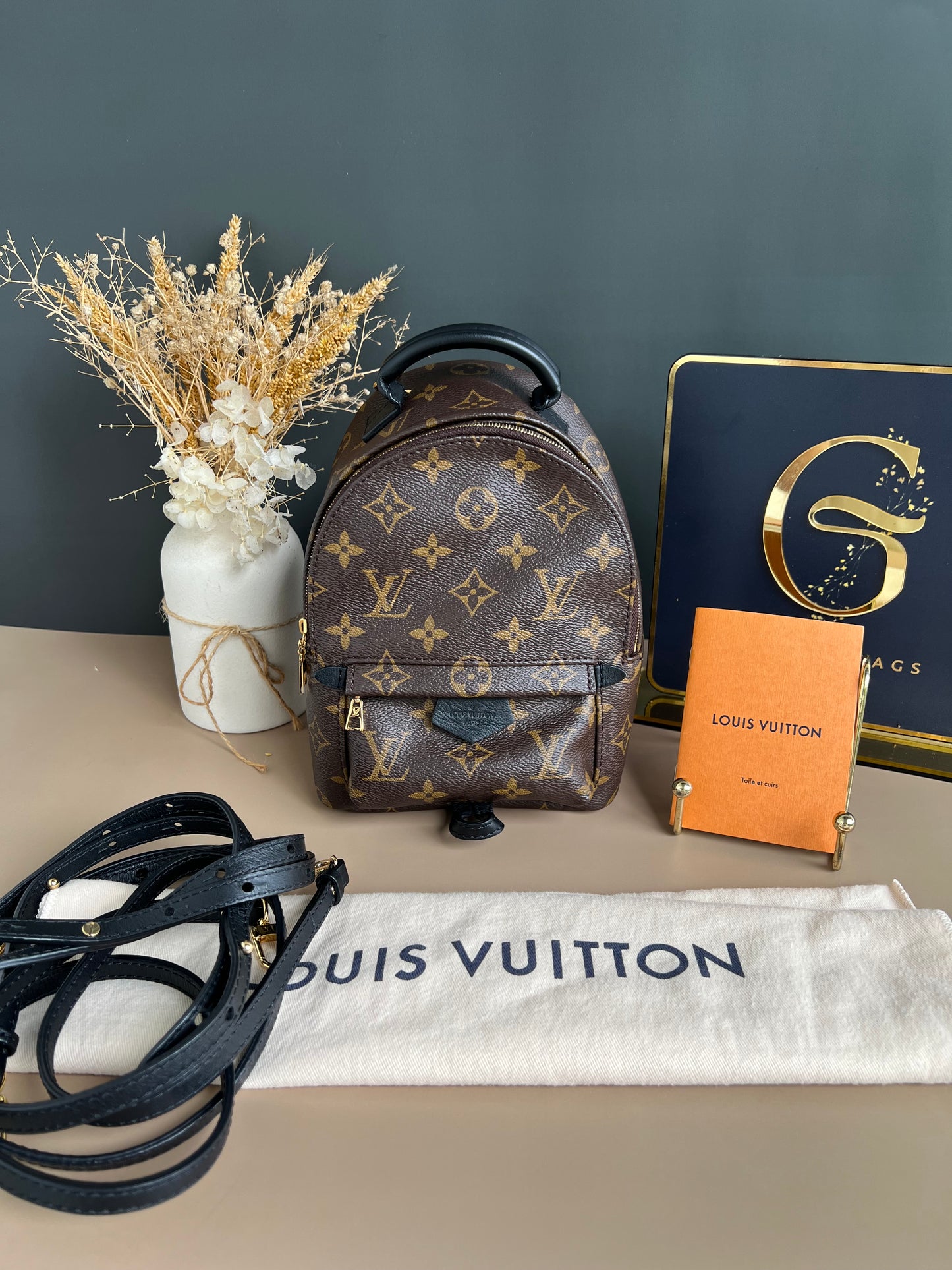 LOUIS VUITTON PALMSPRING MINI MONOGRAM