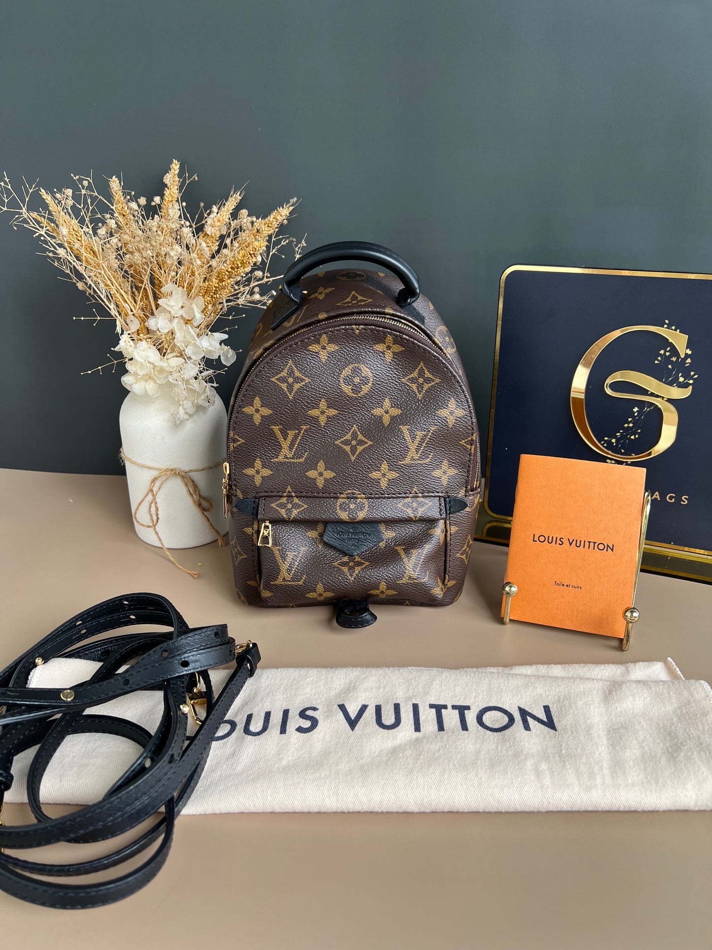 LOUIS VUITTON PALMSPRING MINI MONOGRAM