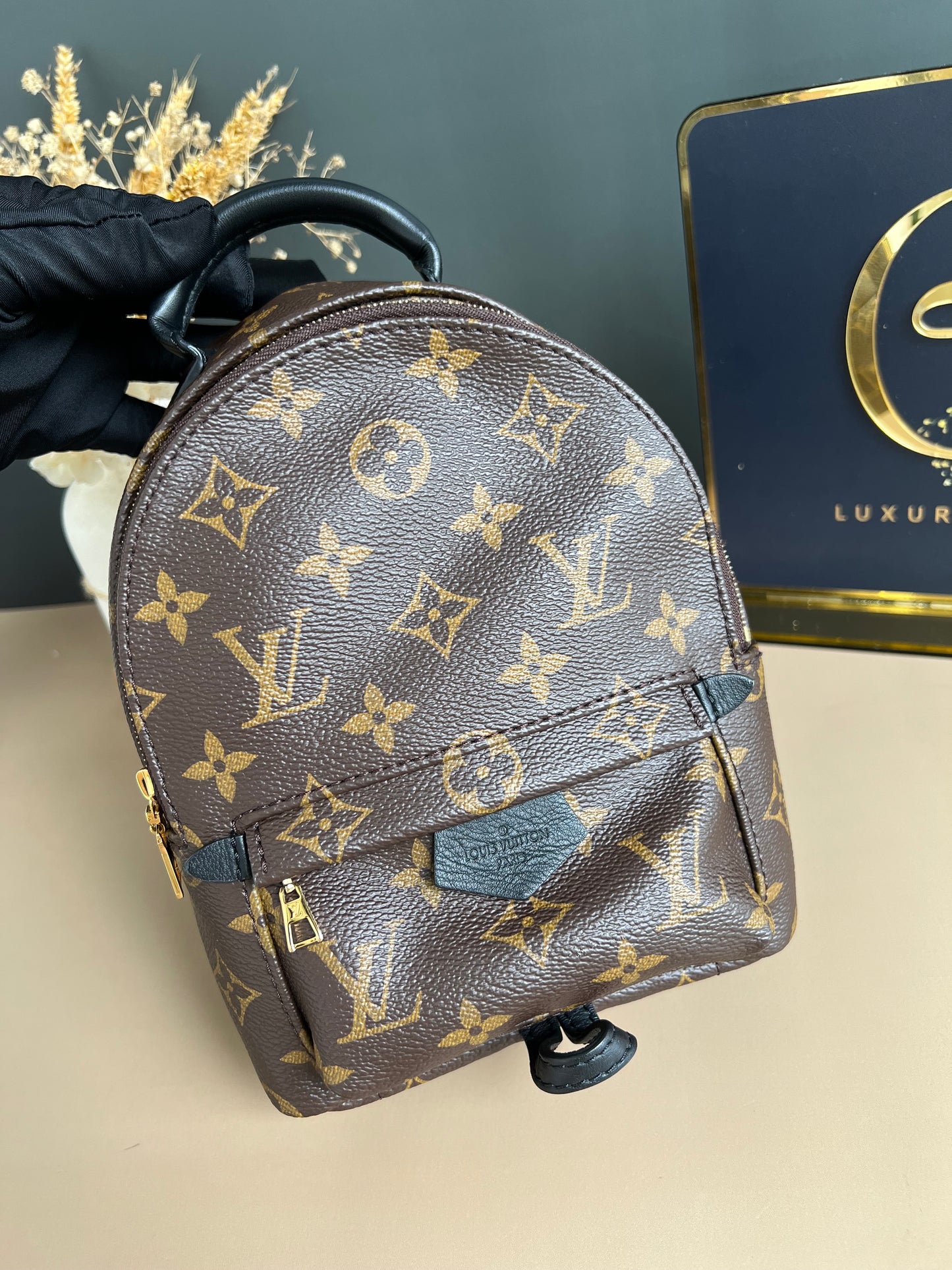 LOUIS VUITTON PALMSPRING MINI MONOGRAM