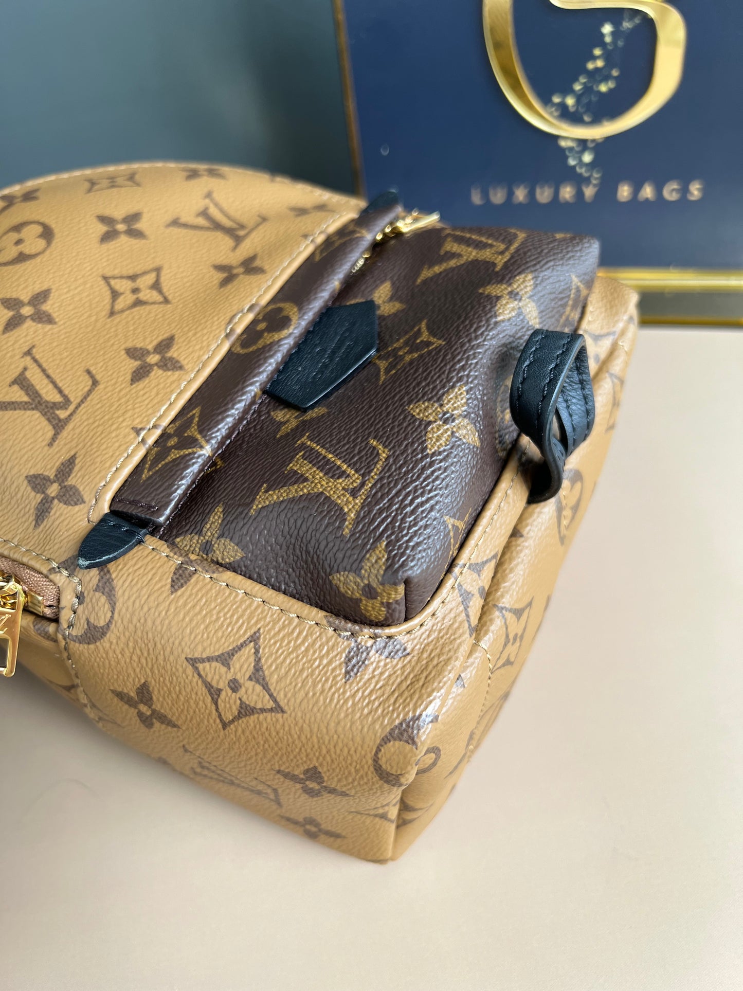 LOUIS VUITTON PALMSPRING MINI REVERSE MONOGRAM