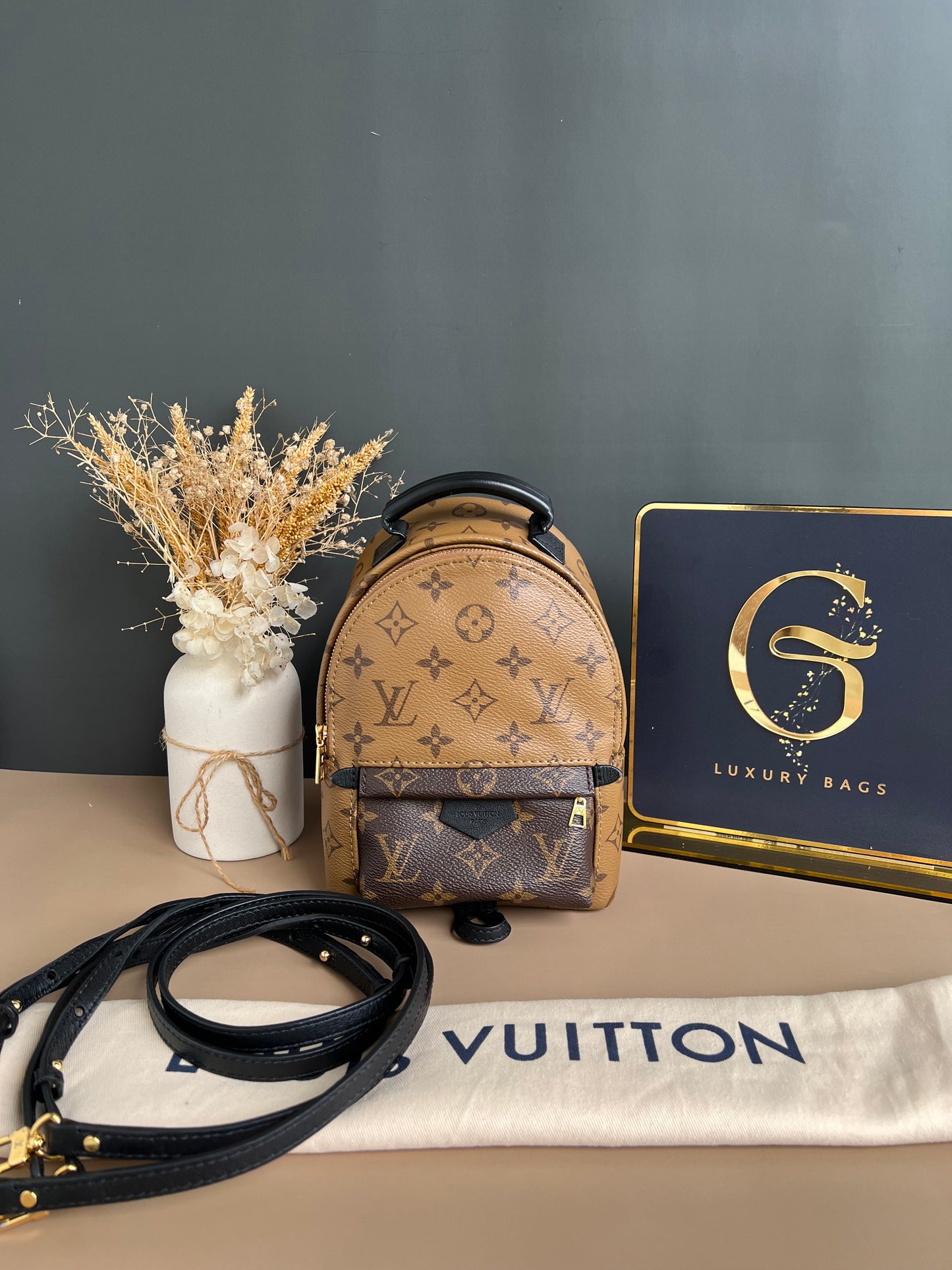 LOUIS VUITTON PALMSPRING MINI REVERSE MONOGRAM