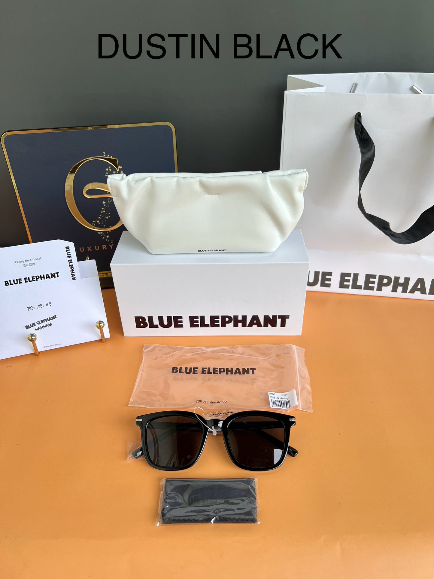 BLUE ELEPHANT SUNGLASSES DUSTIN BLACK