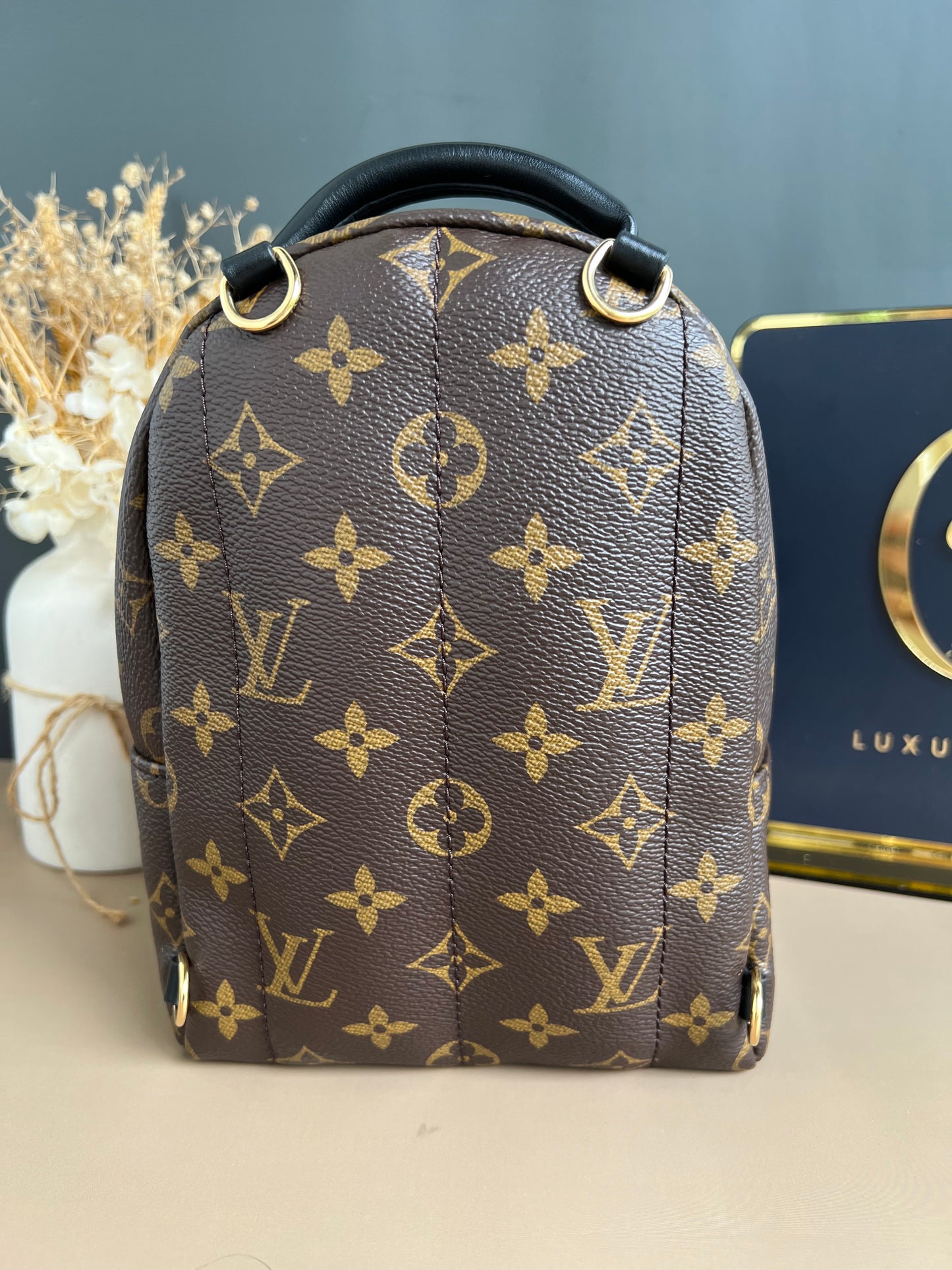 LOUIS VUITTON PALMSPRING MINI MONOGRAM