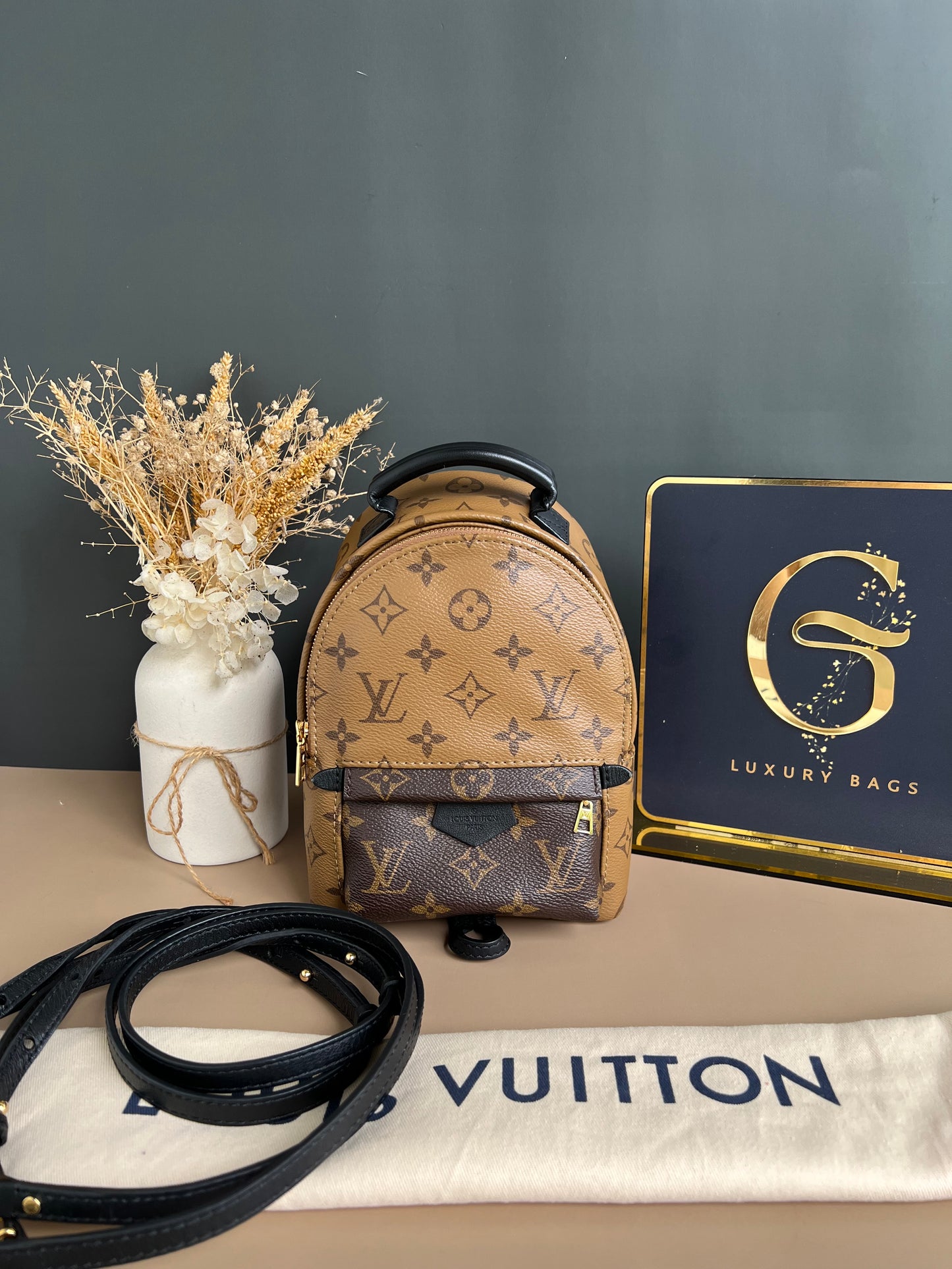 LOUIS VUITTON PALMSPRING MINI REVERSE MONOGRAM