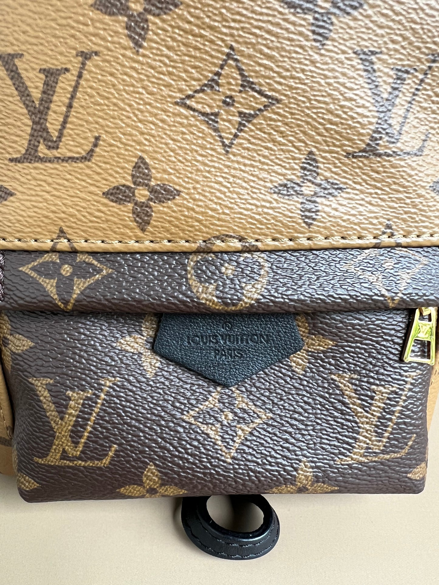 LOUIS VUITTON PALMSPRING MINI REVERSE MONOGRAM