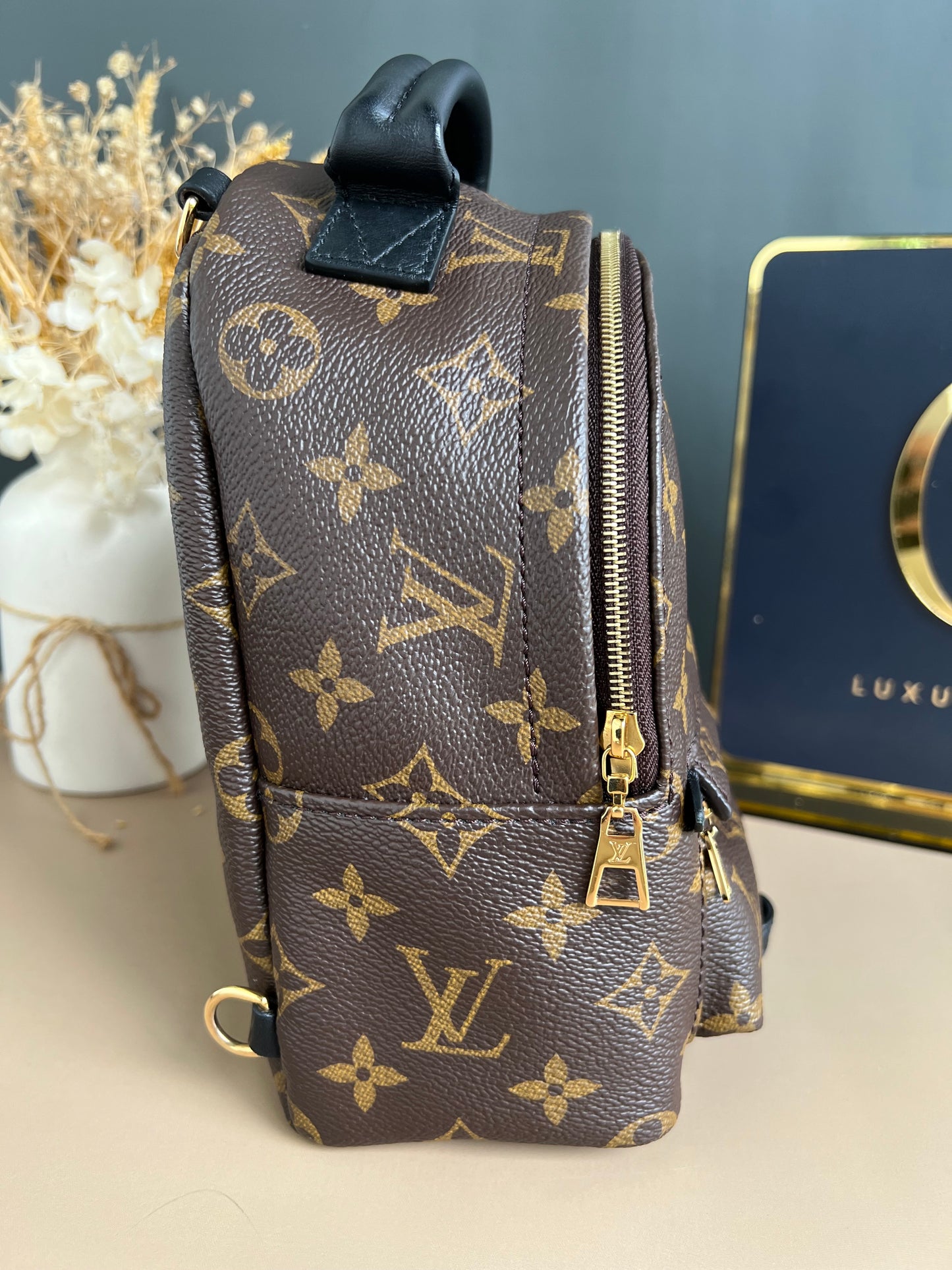 LOUIS VUITTON PALMSPRING MINI MONOGRAM