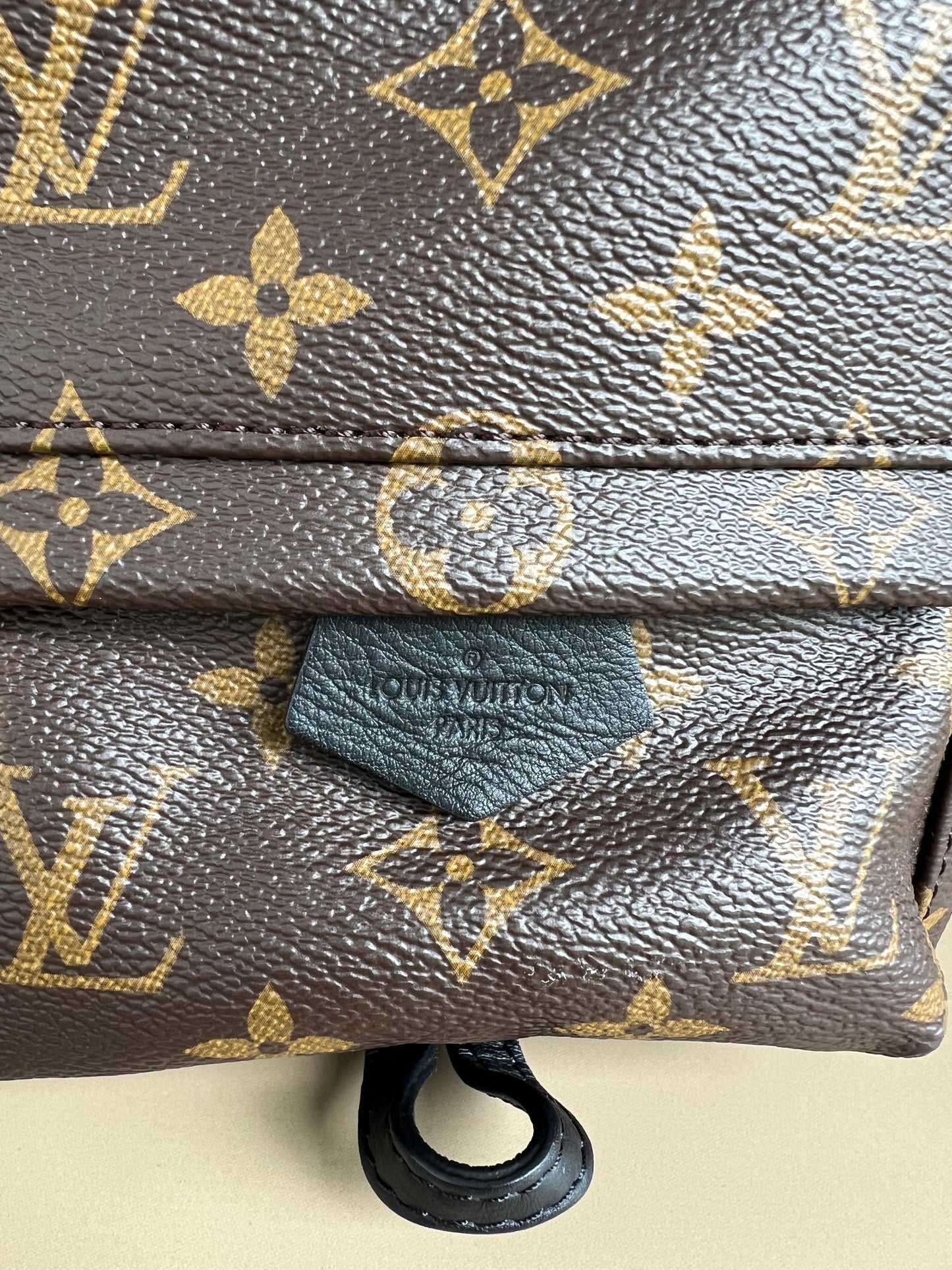 LOUIS VUITTON PALMSPRING MINI MONOGRAM