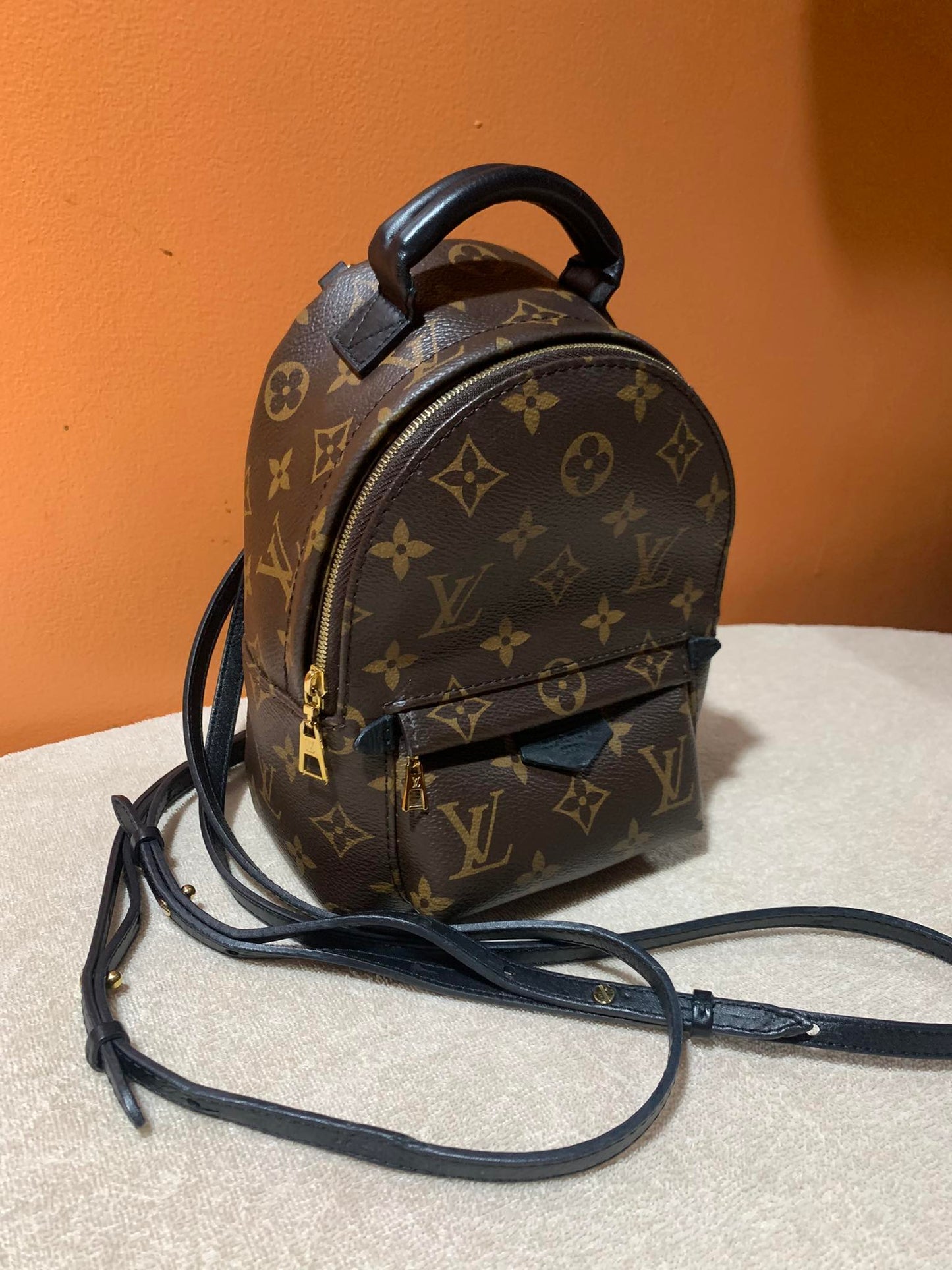 LOUIS VUITTON PALMSPRING MINI