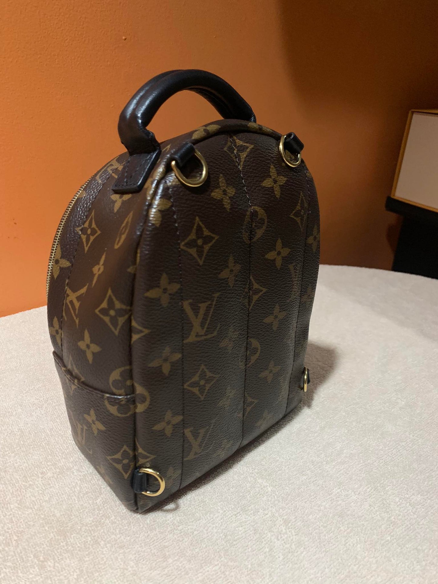 LOUIS VUITTON PALMSPRING MINI