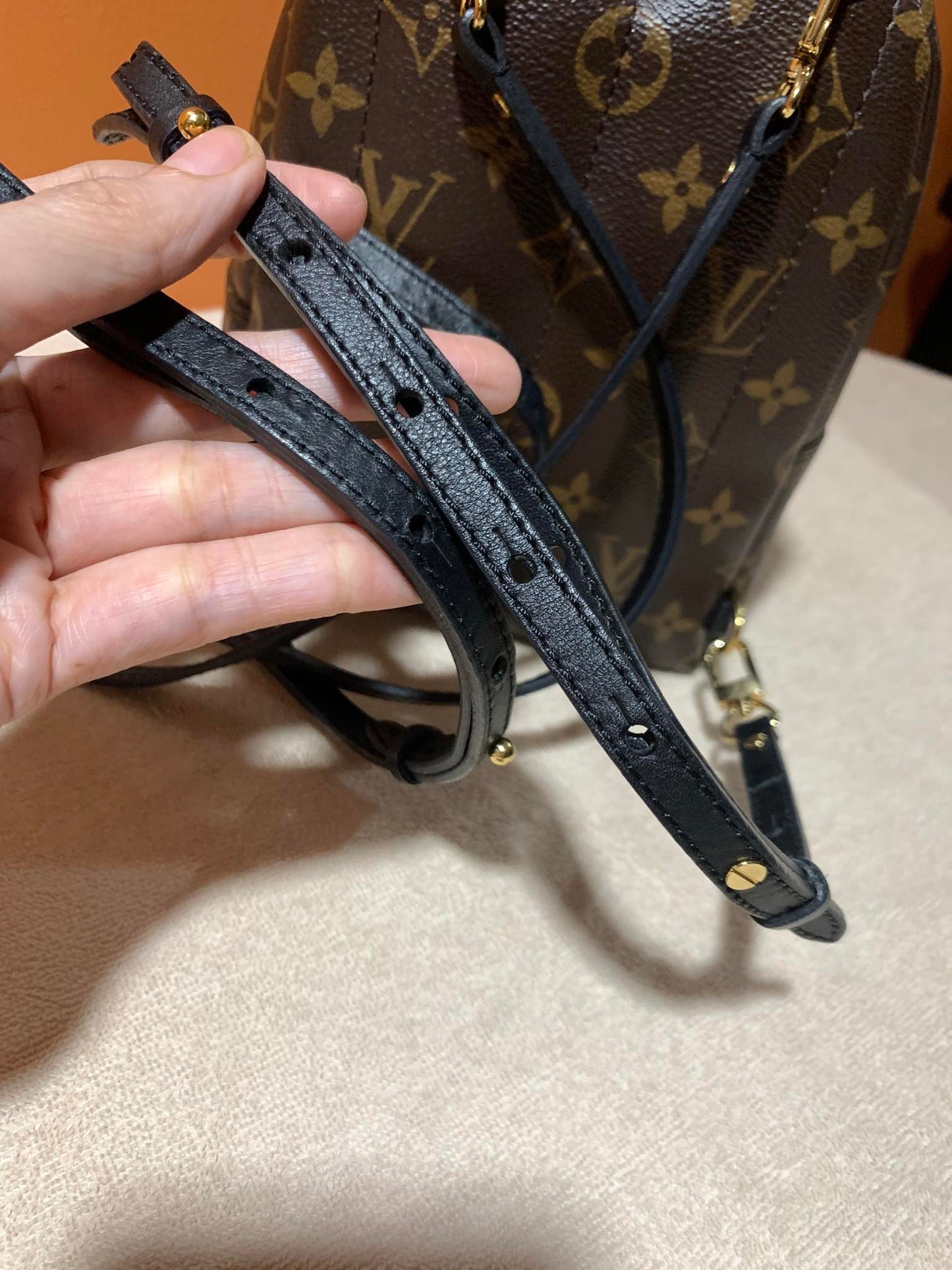 LOUIS VUITTON PALMSPRING MINI