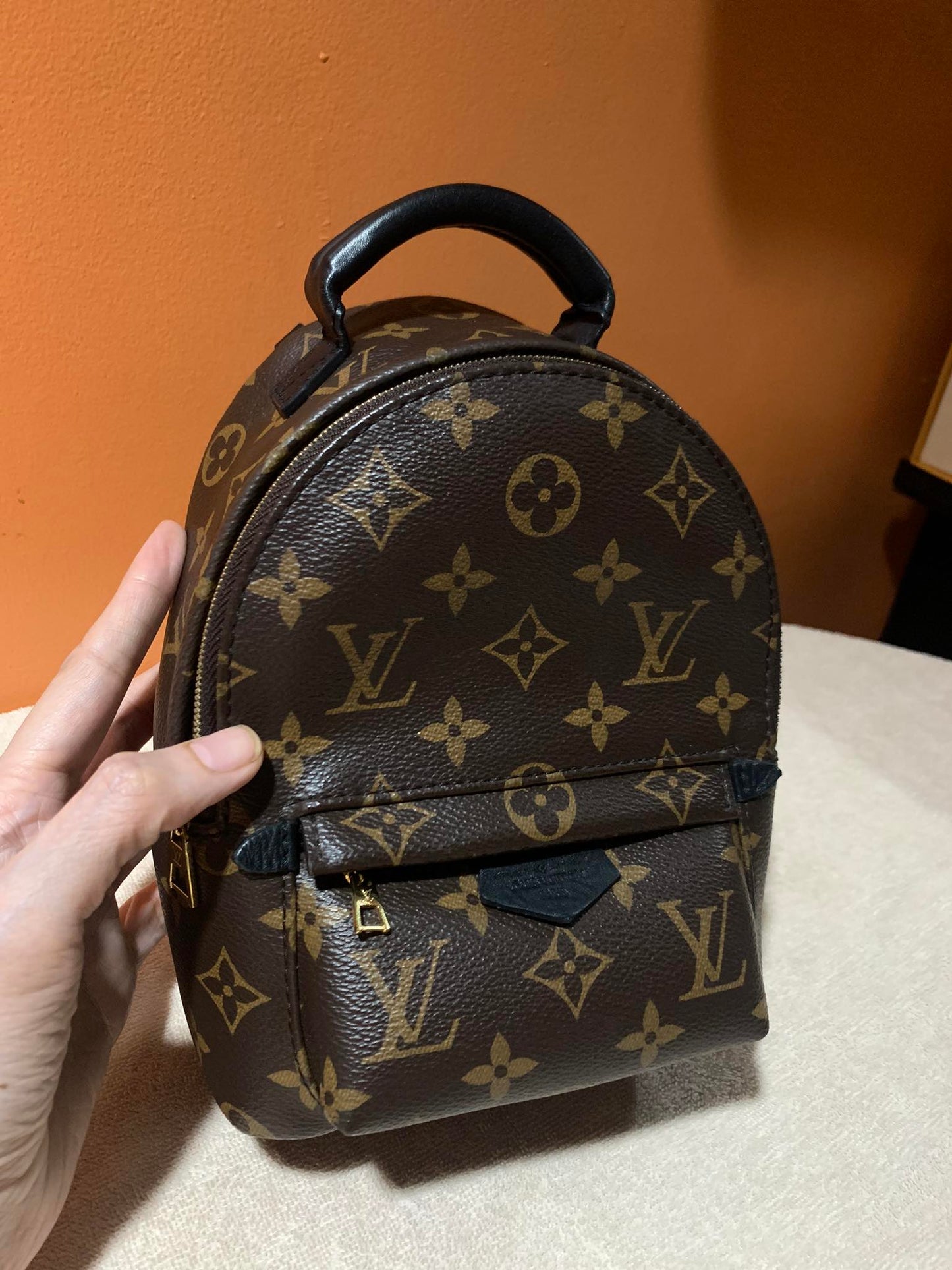 LOUIS VUITTON PALMSPRING MINI