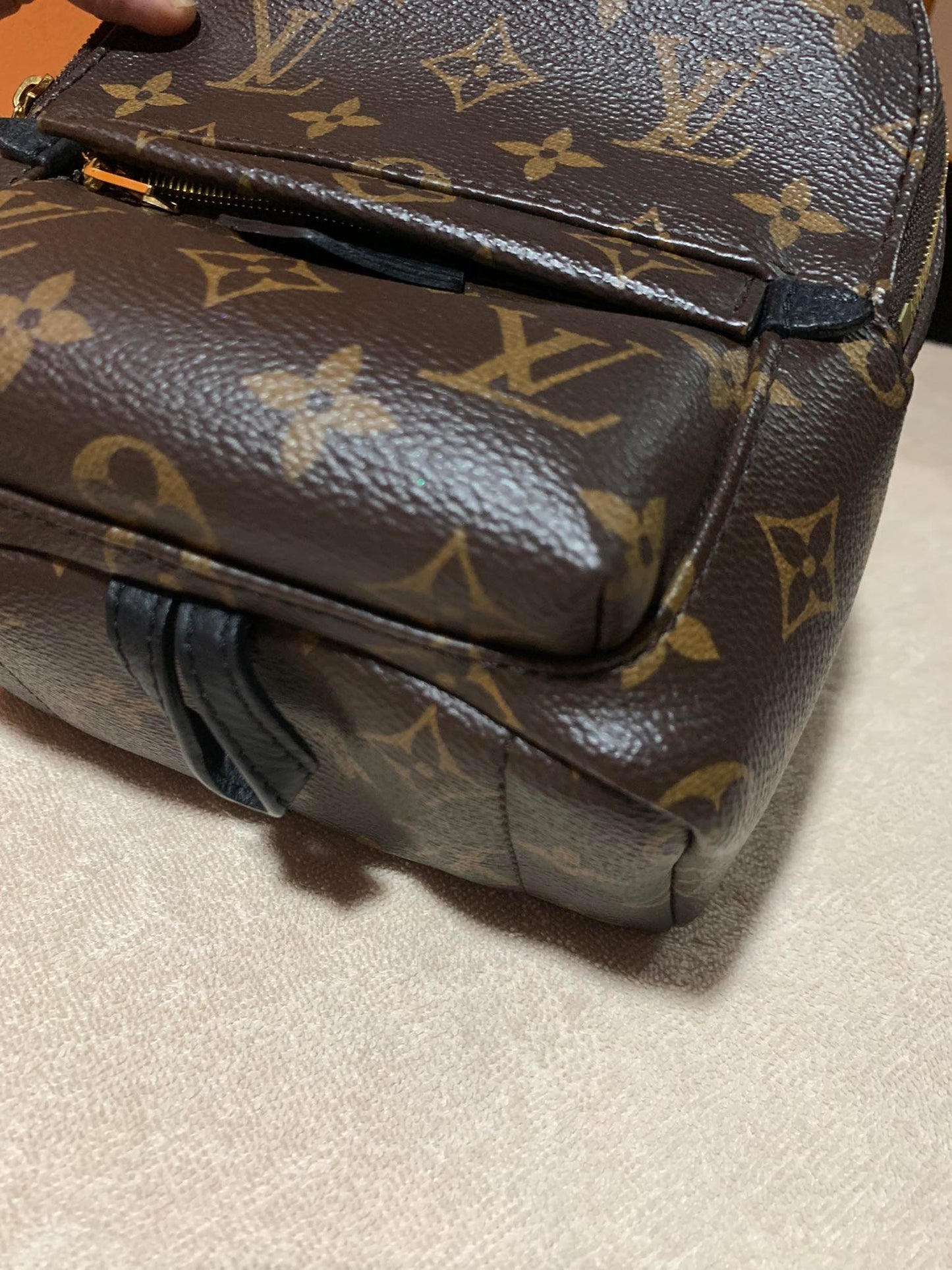 LOUIS VUITTON PALMSPRING MINI