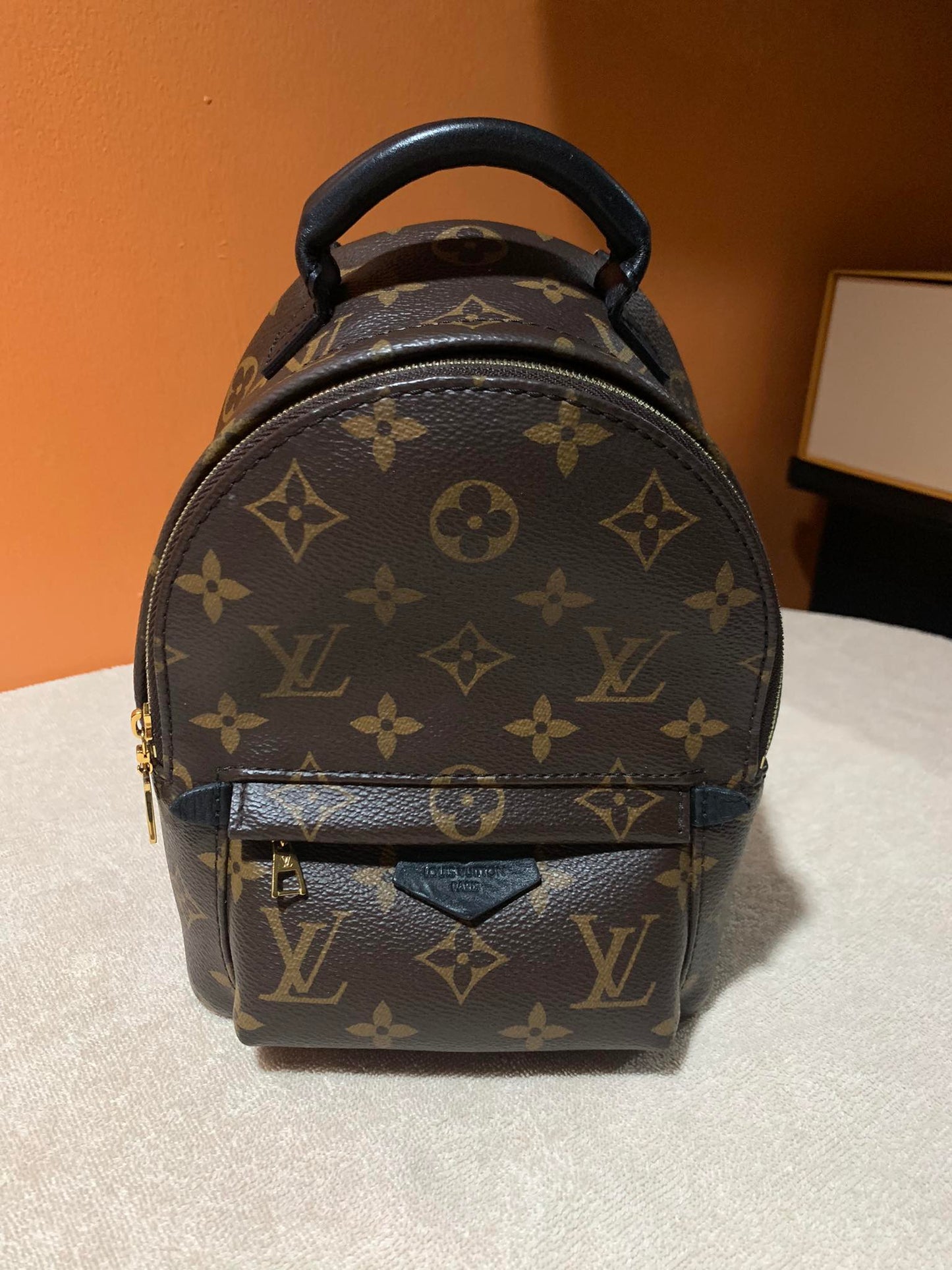 LOUIS VUITTON PALMSPRING MINI