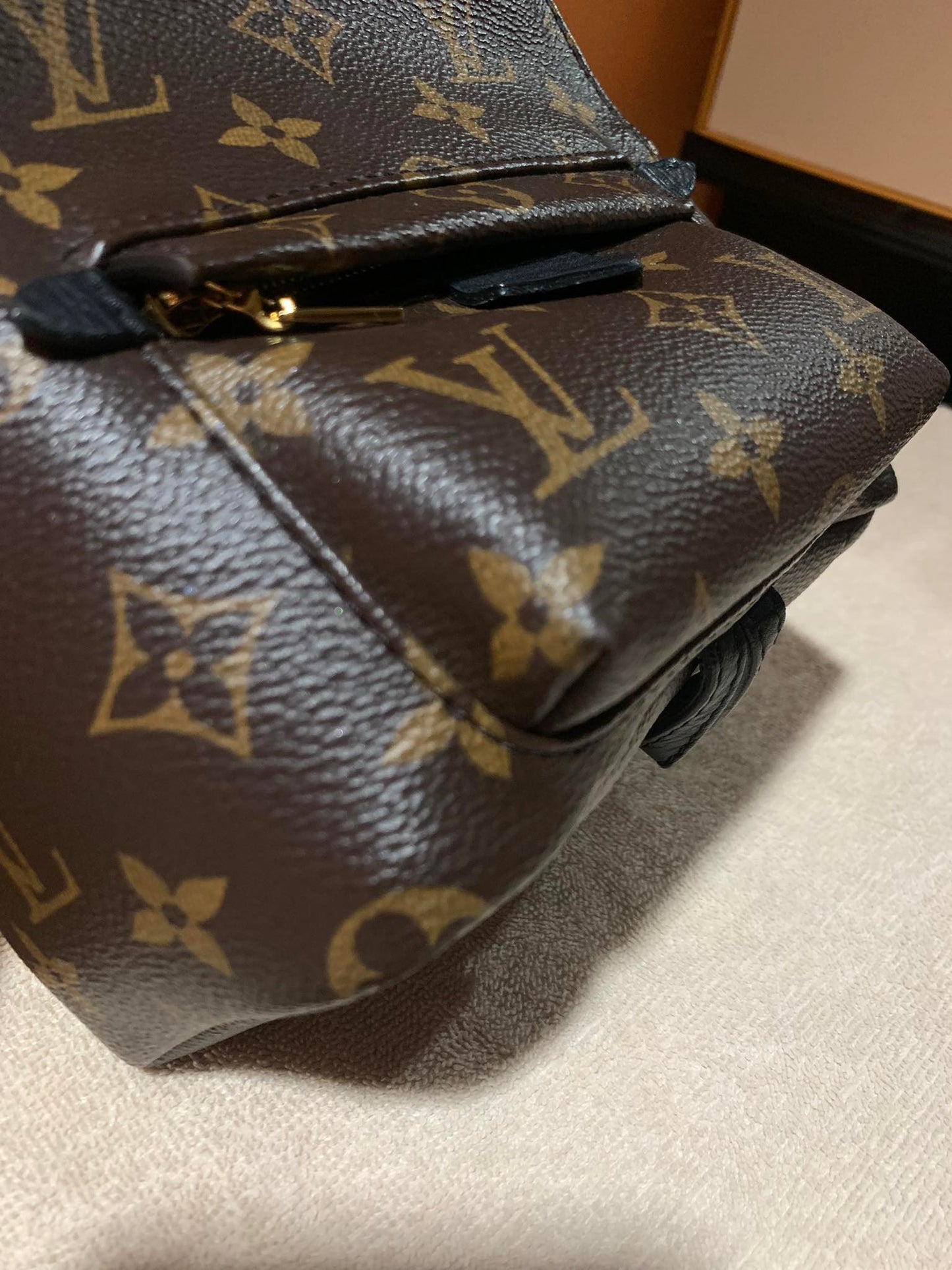 LOUIS VUITTON PALMSPRING MINI