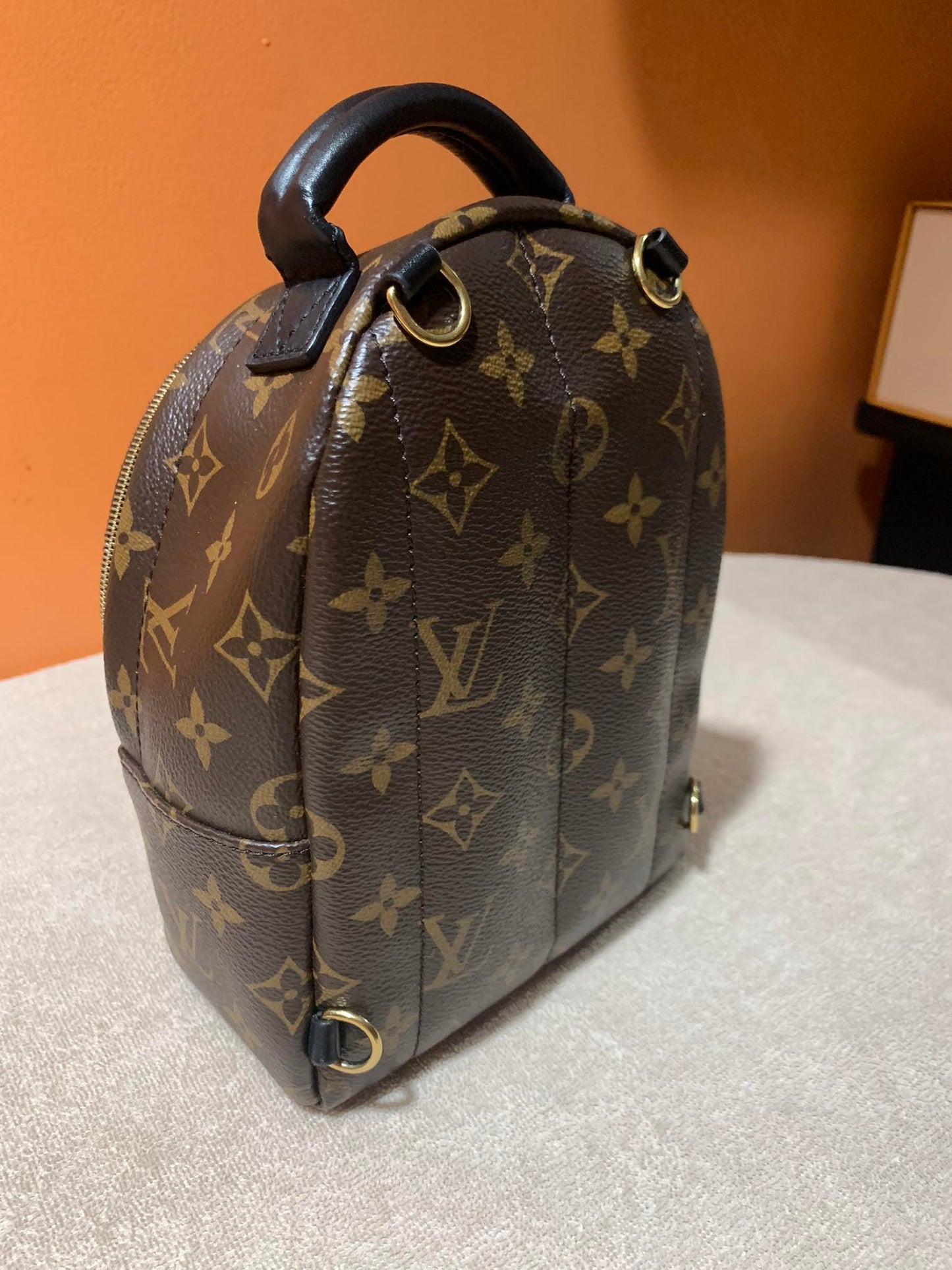 LOUIS VUITTON PALMSPRING MINI