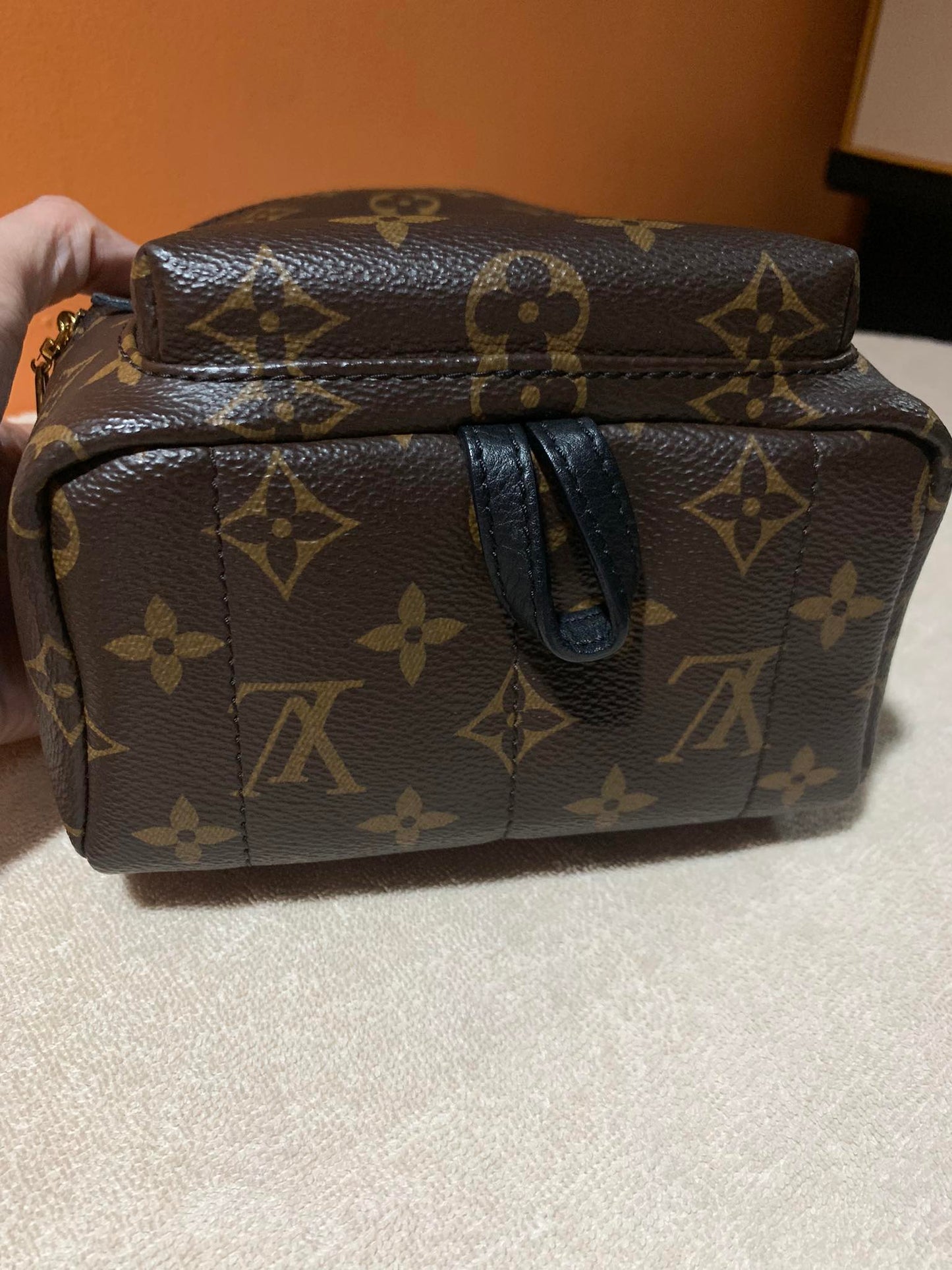 LOUIS VUITTON PALMSPRING MINI