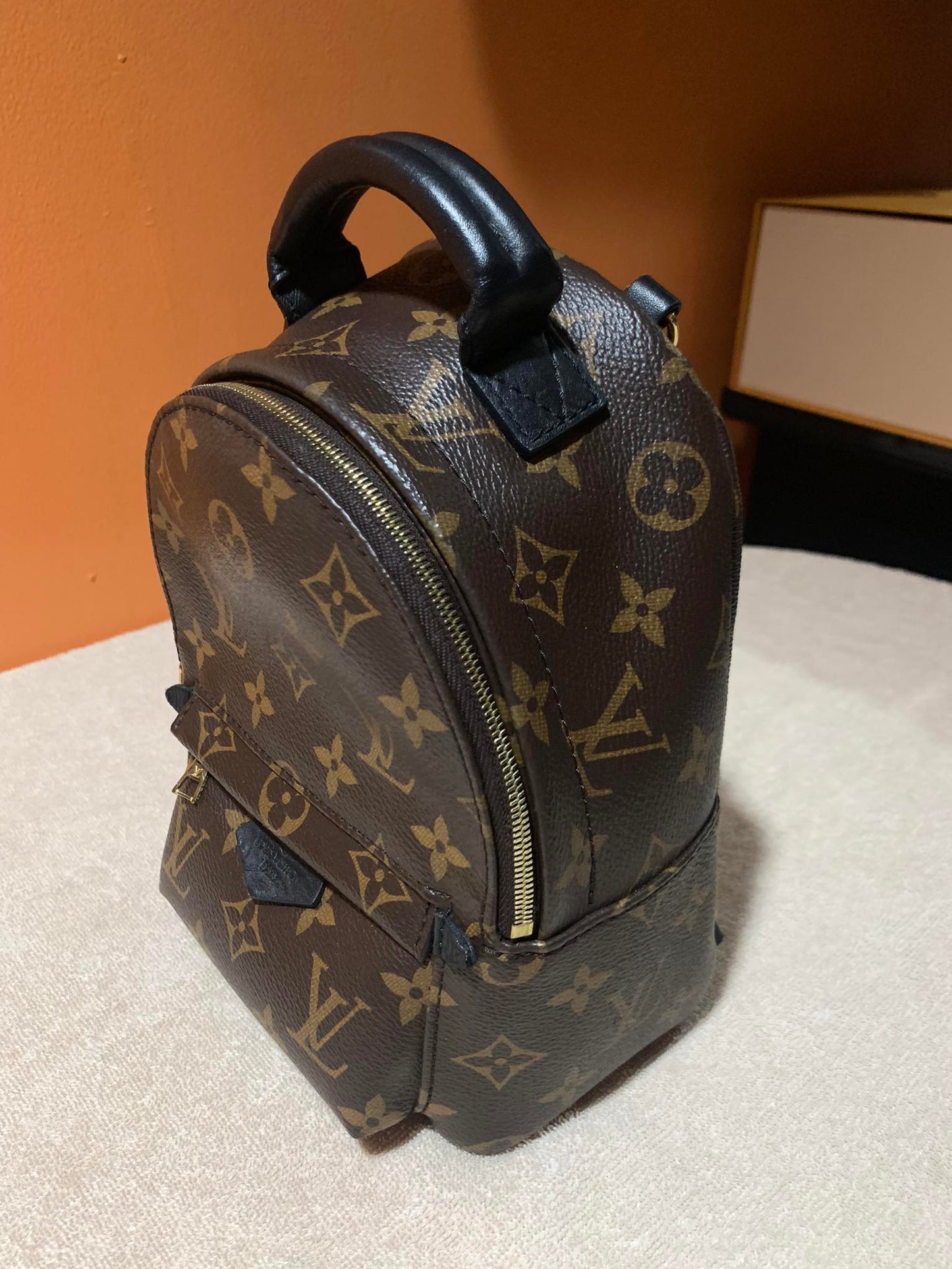 LOUIS VUITTON PALMSPRING MINI