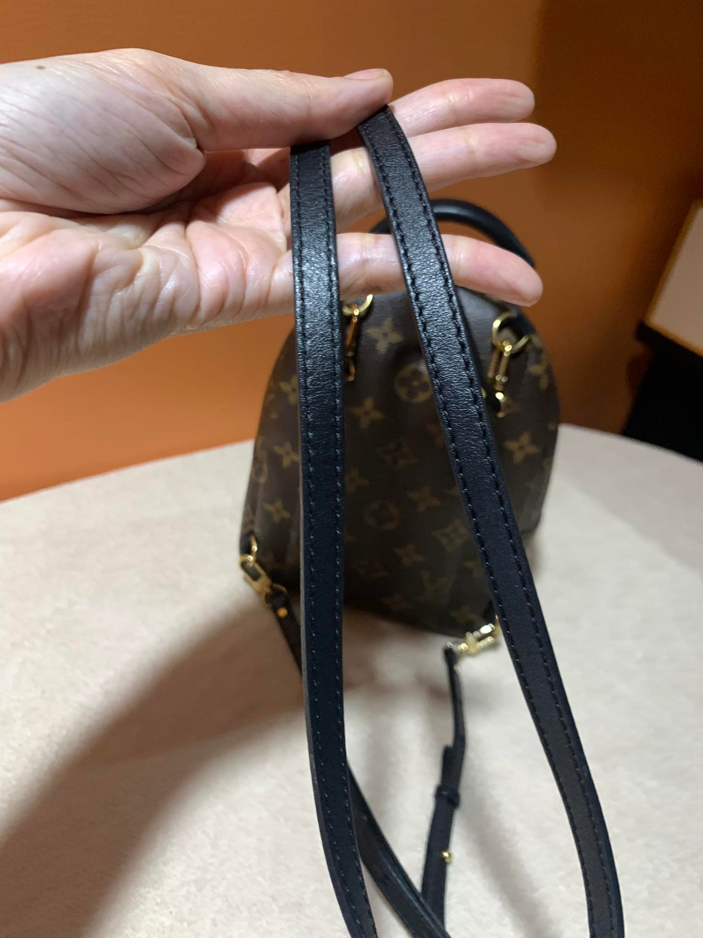 LOUIS VUITTON PALMSPRING MINI