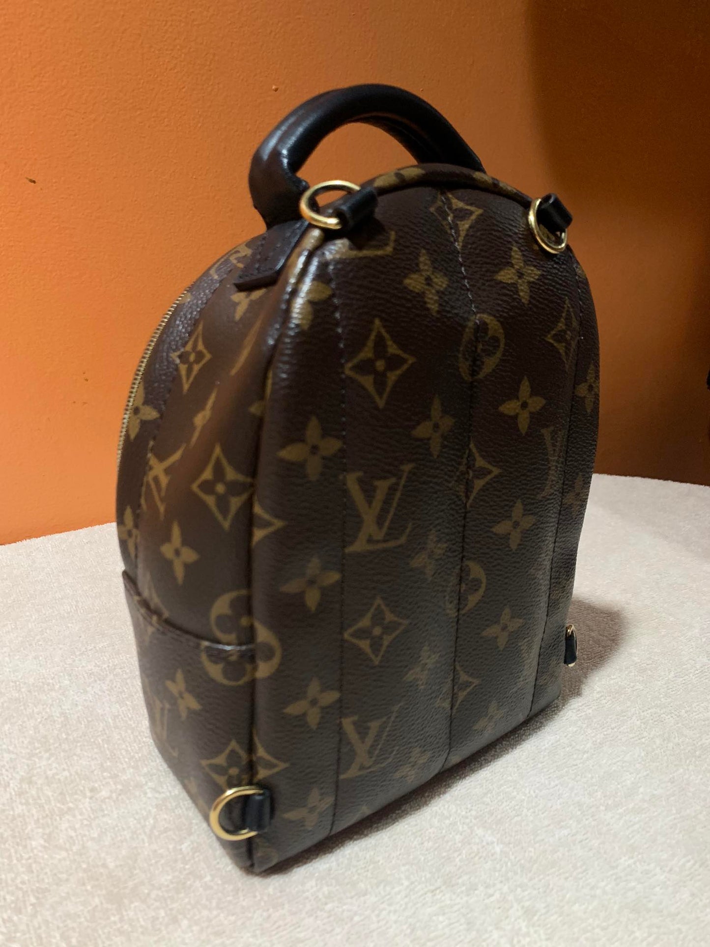 LOUIS VUITTON PALMSPRING MINI