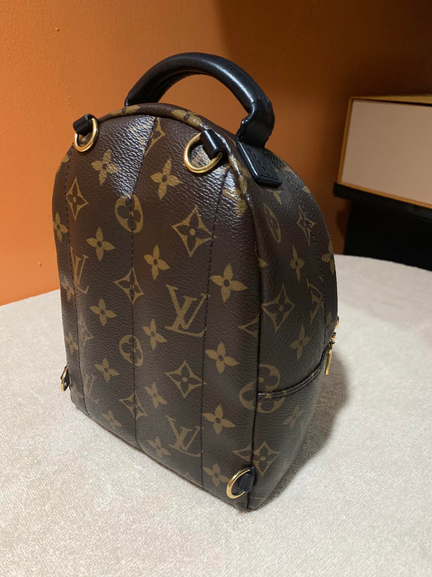 LOUIS VUITTON PALMSPRING MINI