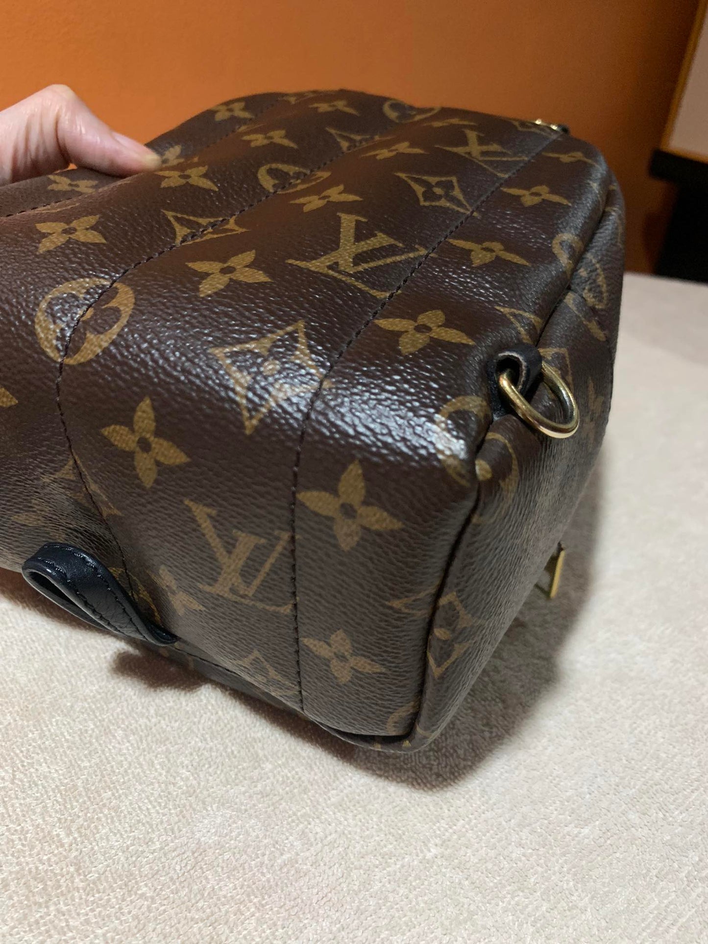 LOUIS VUITTON PALMSPRING MINI