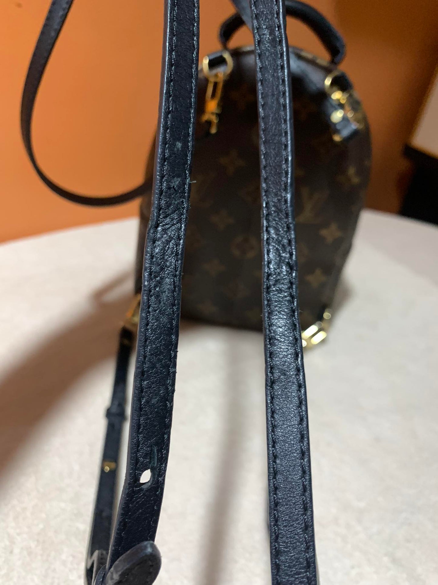 LOUIS VUITTON PALMSPRING MINI