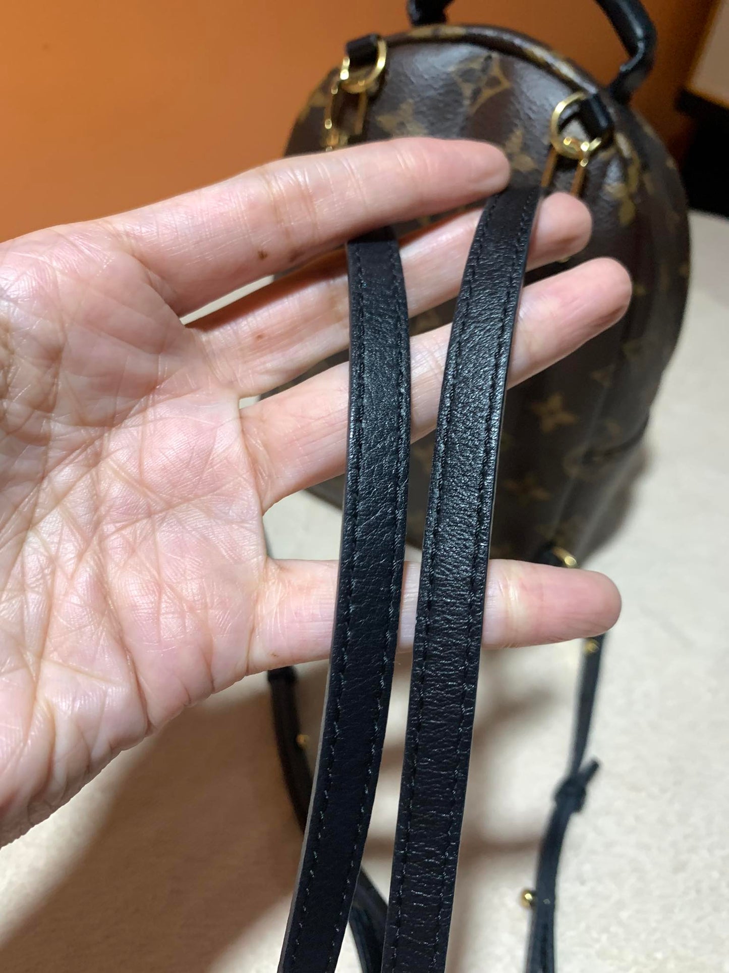 LOUIS VUITTON PALMSPRING MINI