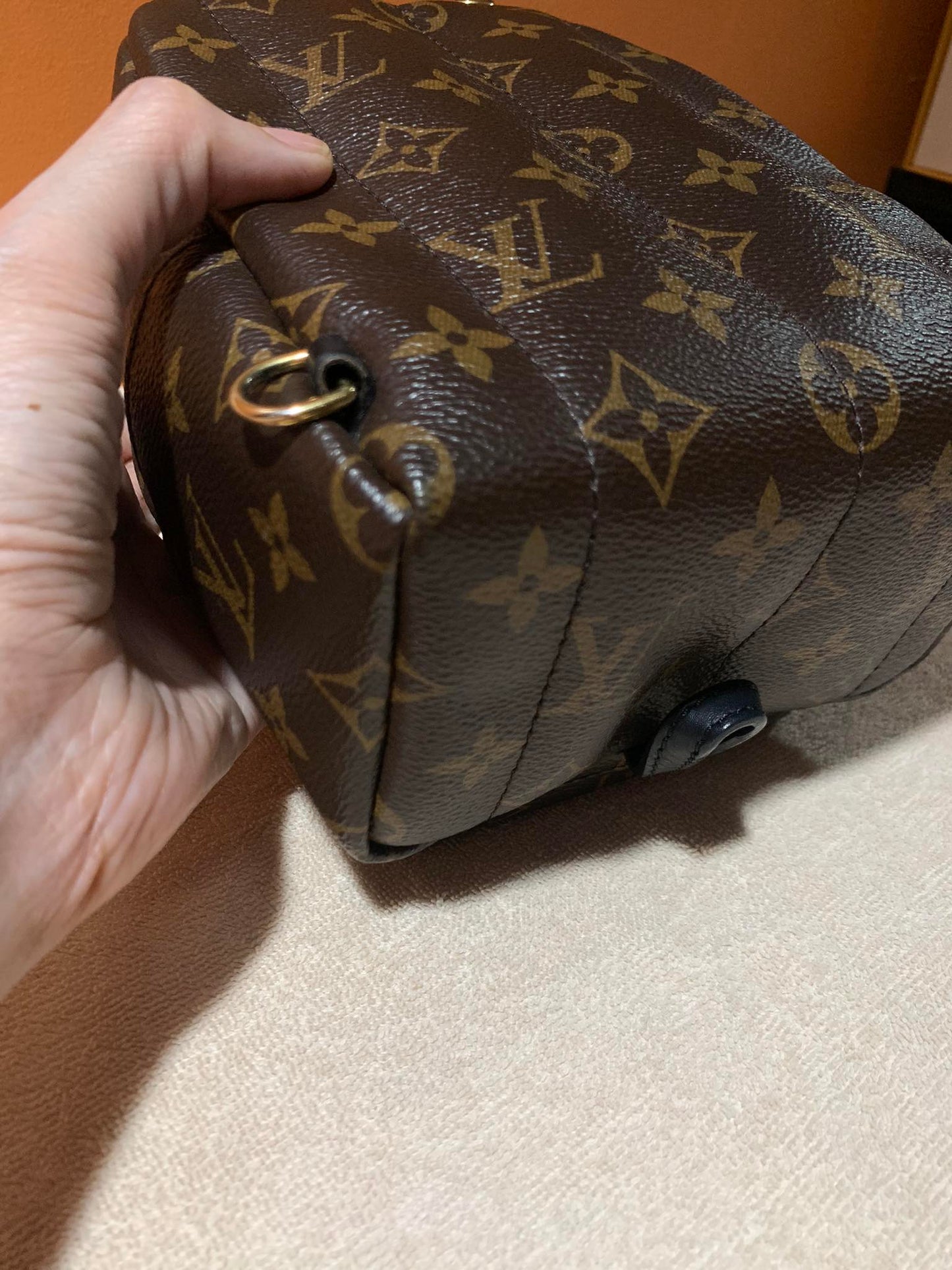 LOUIS VUITTON PALMSPRING MINI