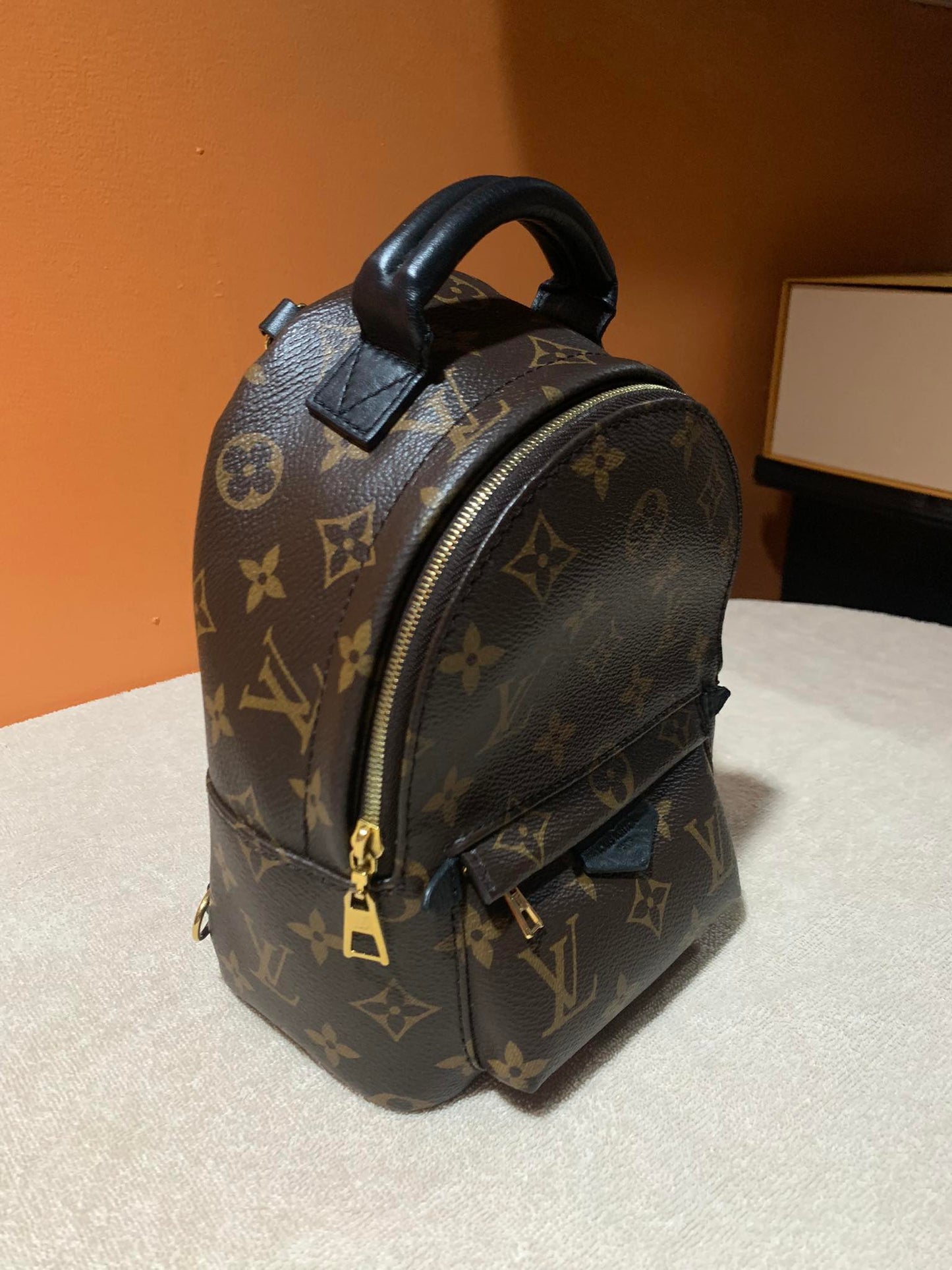 LOUIS VUITTON PALMSPRING MINI