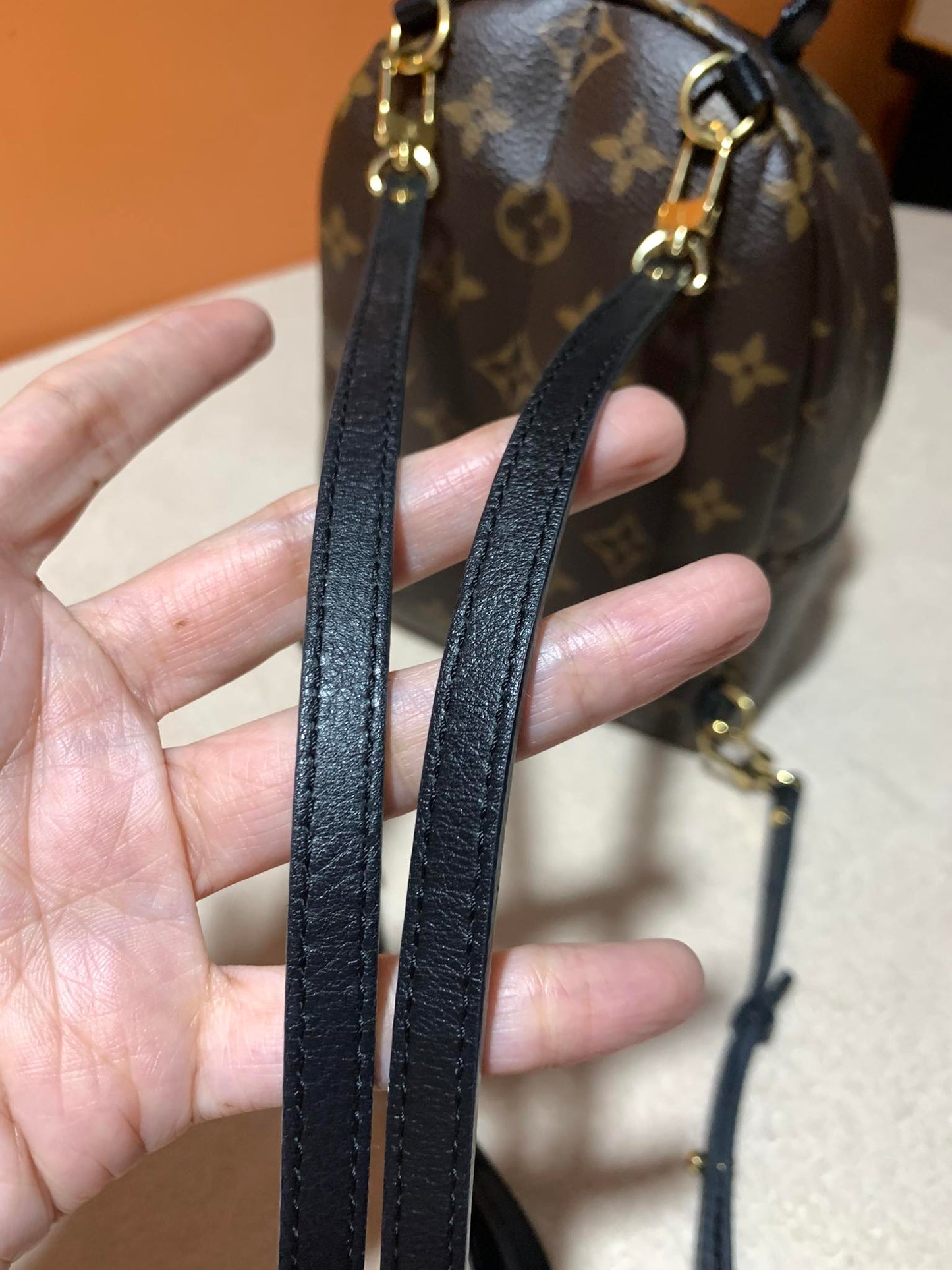 LOUIS VUITTON PALMSPRING MINI