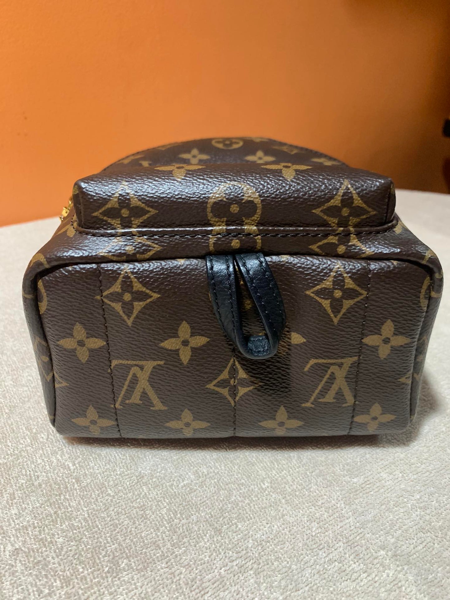 LOUIS VUITTON PALMSPRING MINI