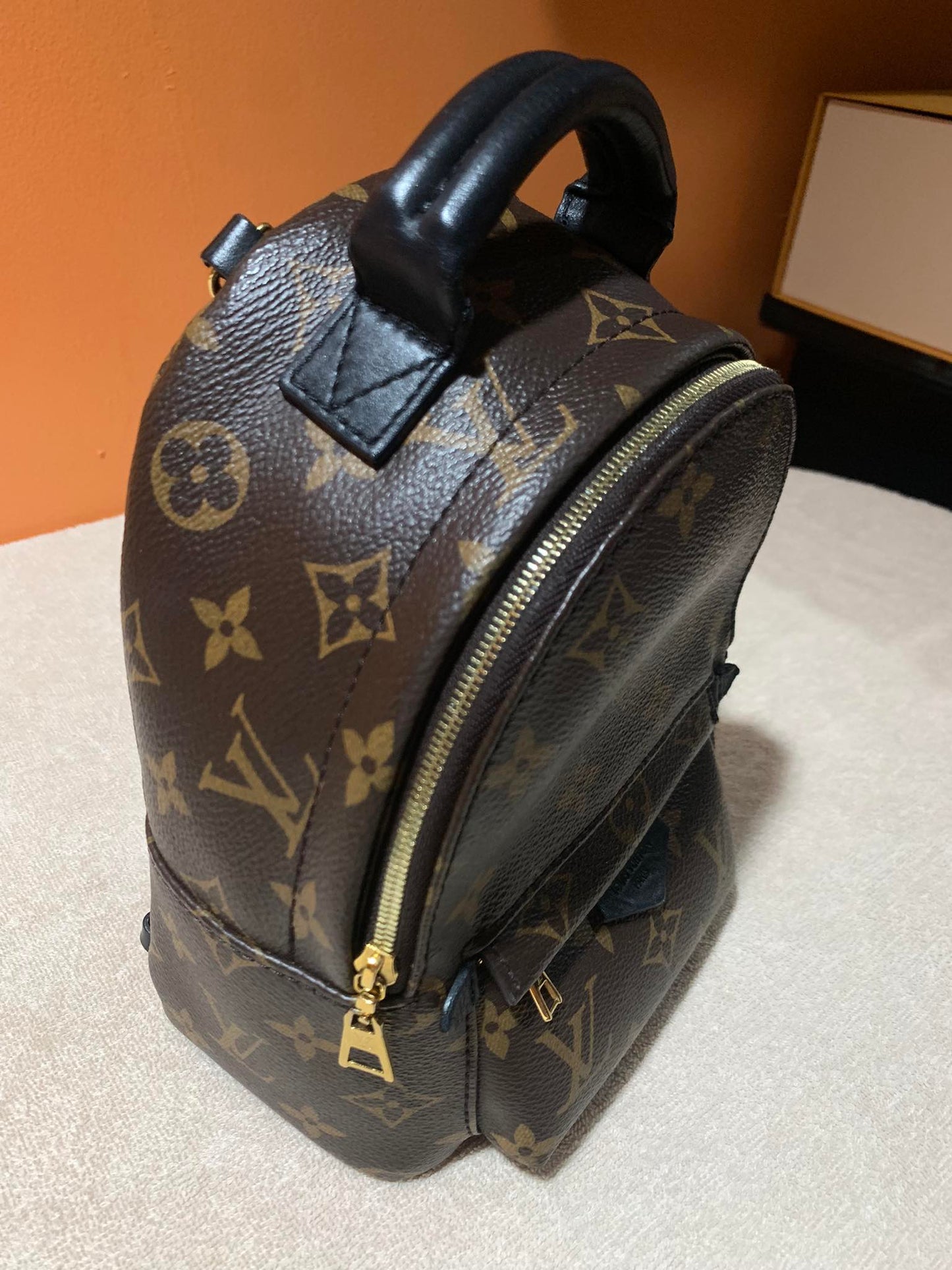 LOUIS VUITTON PALMSPRING MINI