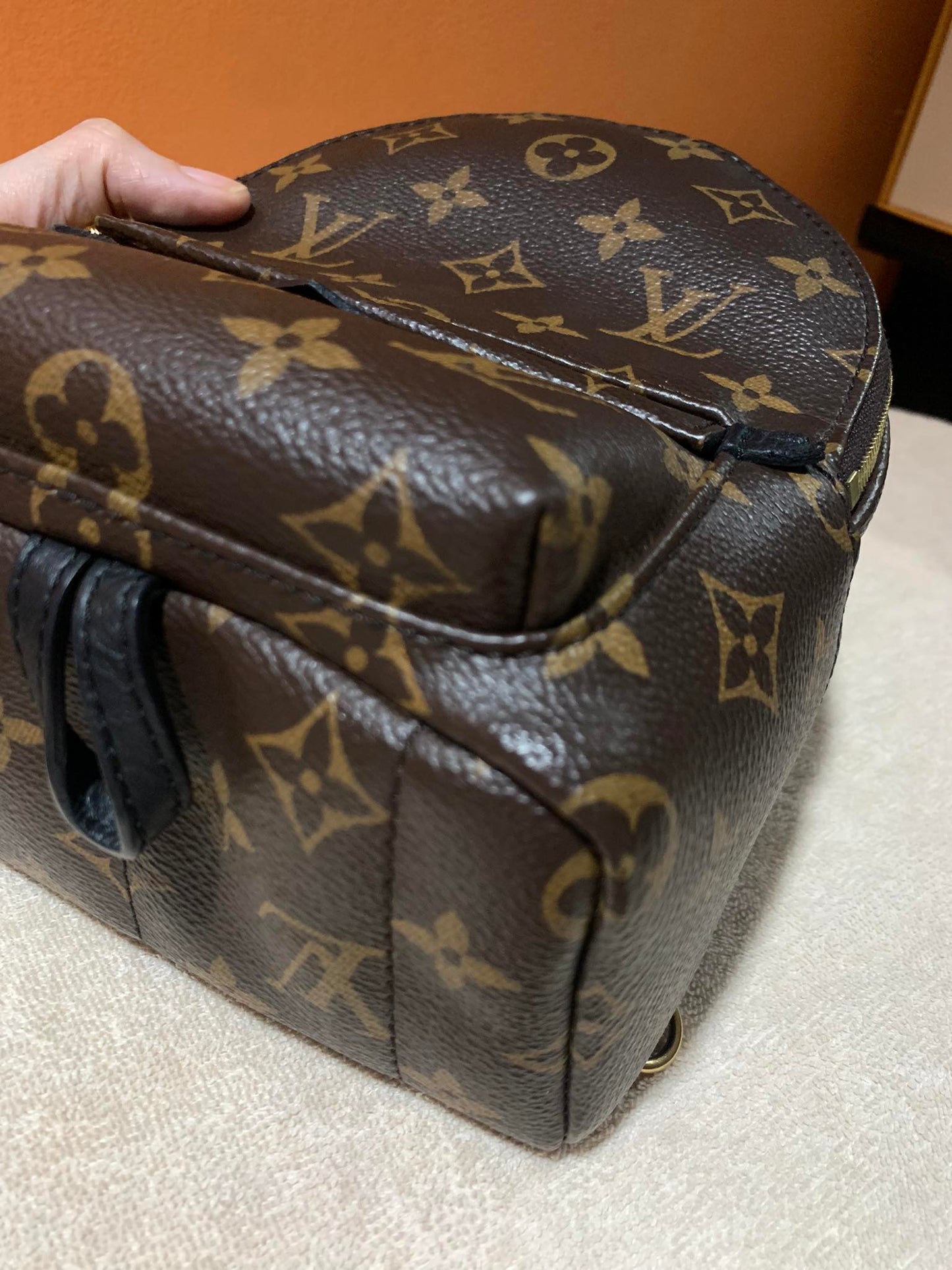 LOUIS VUITTON PALMSPRING MINI