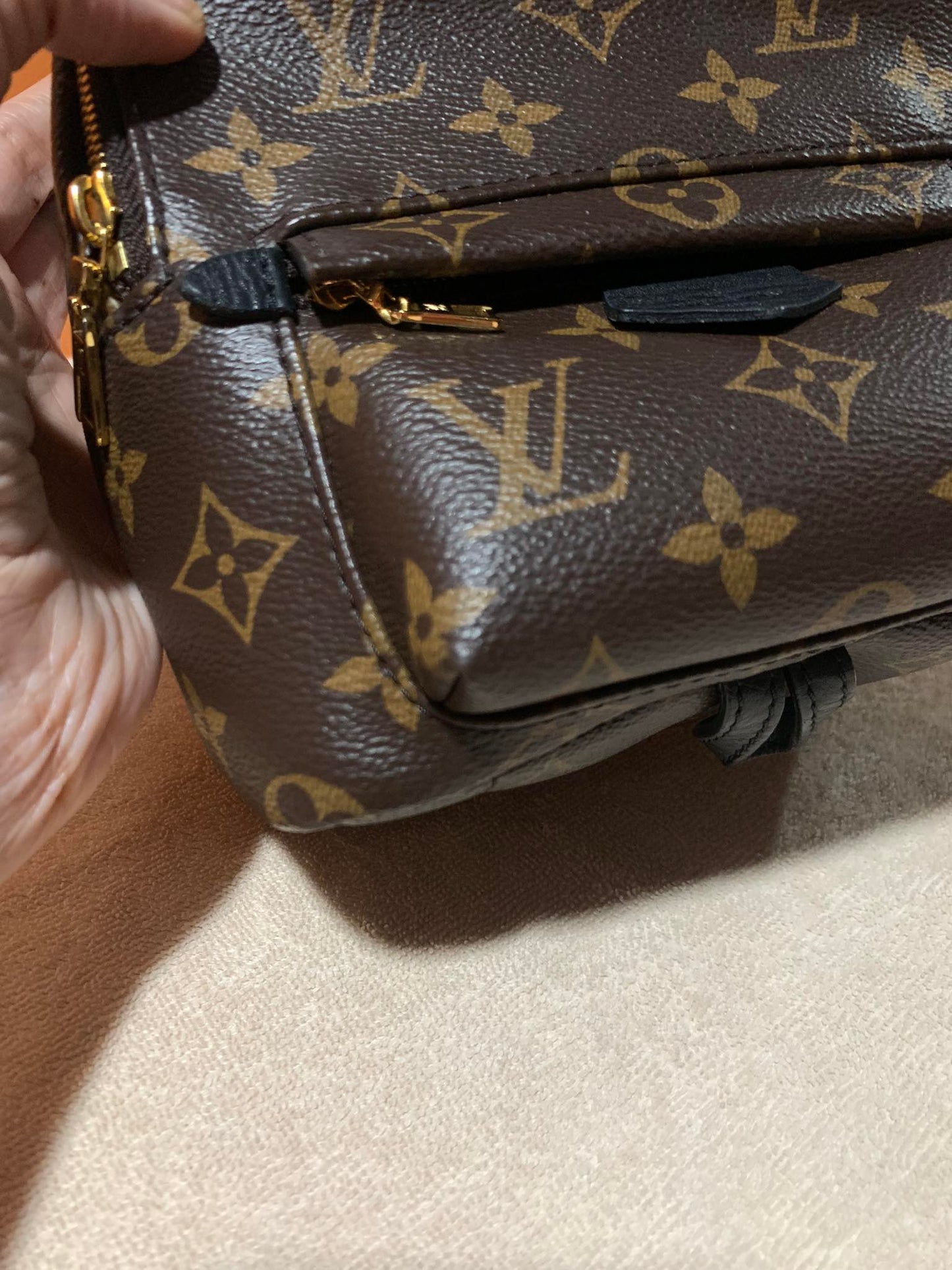 LOUIS VUITTON PALMSPRING MINI