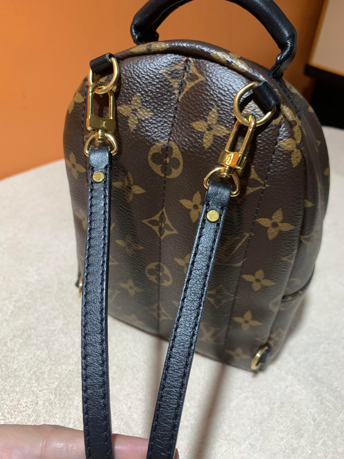 LOUIS VUITTON PALMSPRING MINI