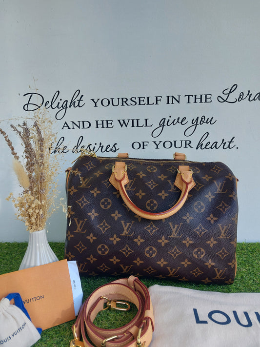 Louis Vuitton Bandouliere 30