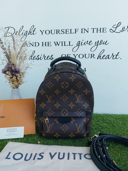 Louis Vuitton Palmspring Mini