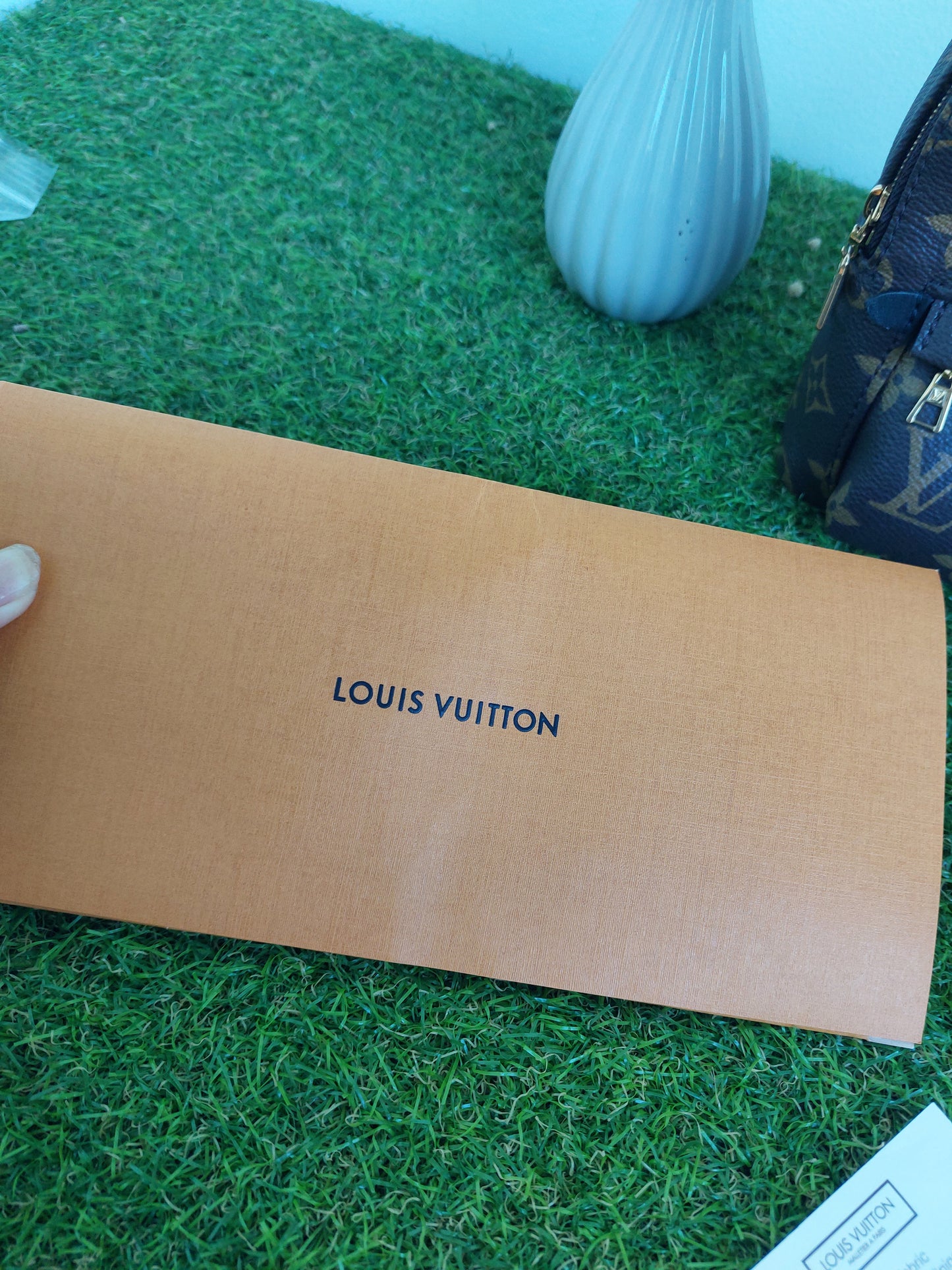 Louis Vuitton Palmspring Mini