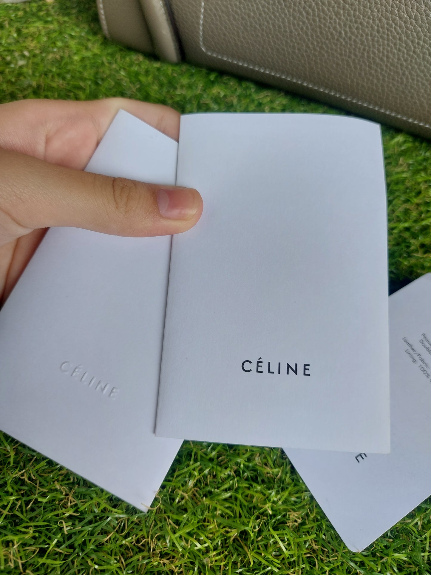 Celine Micro Luggage Souris