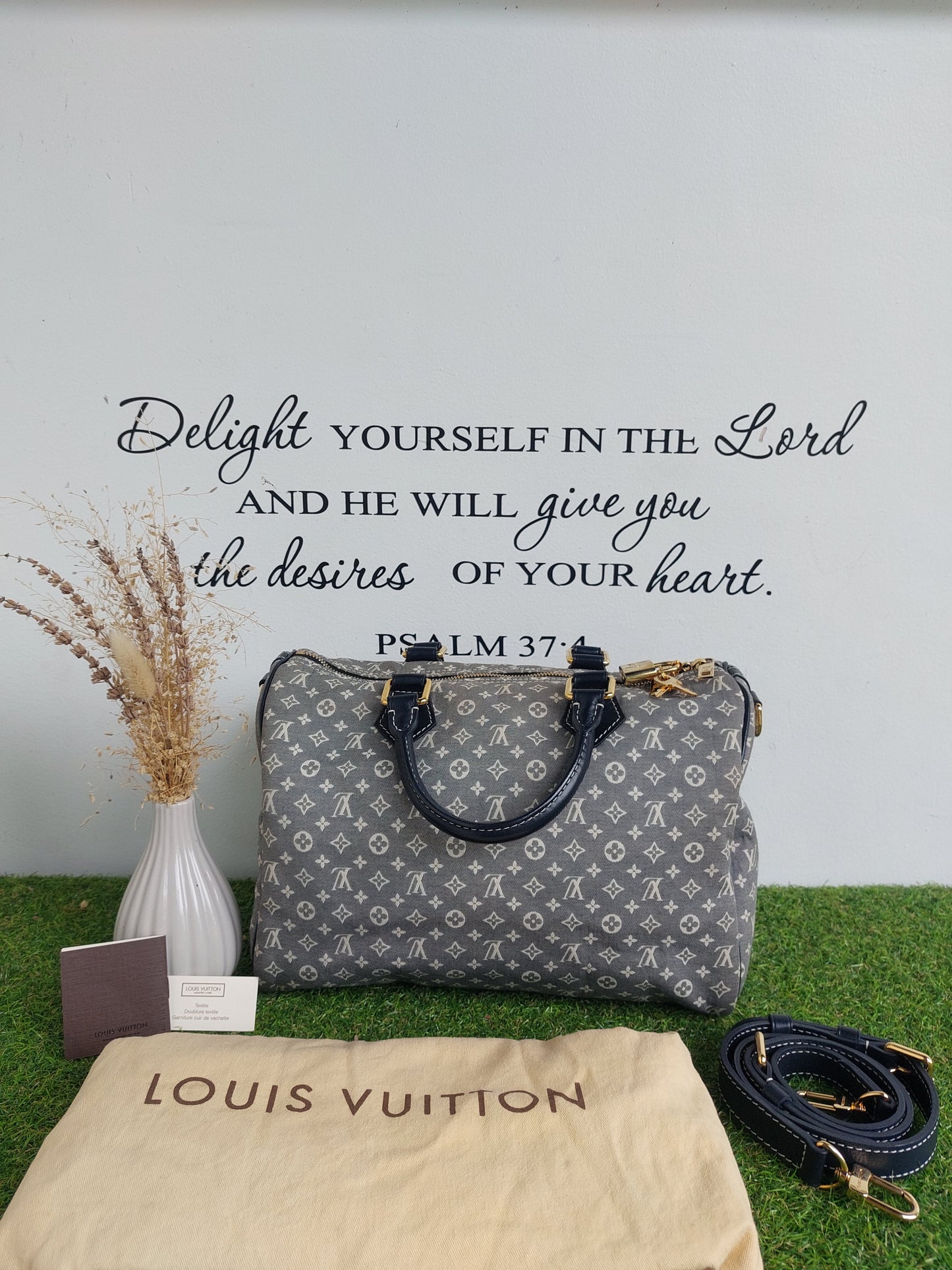 Louis Vuitton Bandouliere 30 Mini Lin
