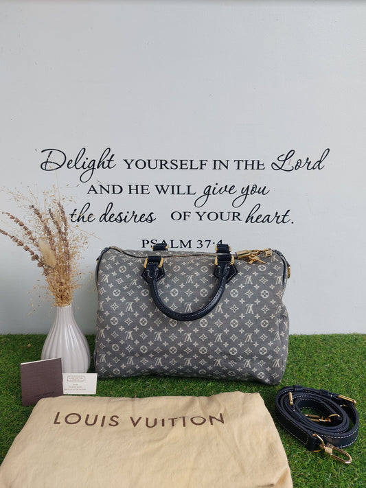 Louis Vuitton Bandouliere 30 Mini Lin
