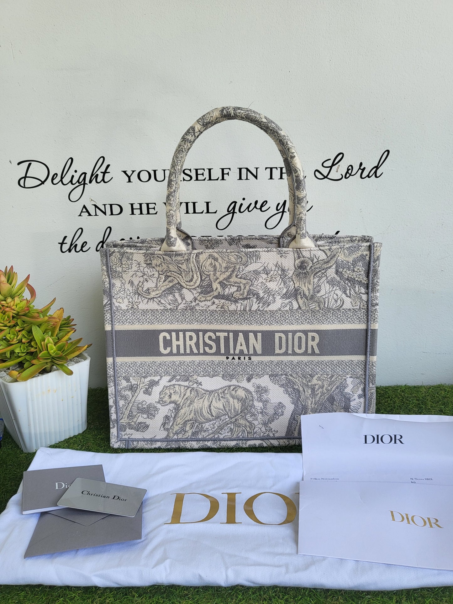 Christian Dior Booktote