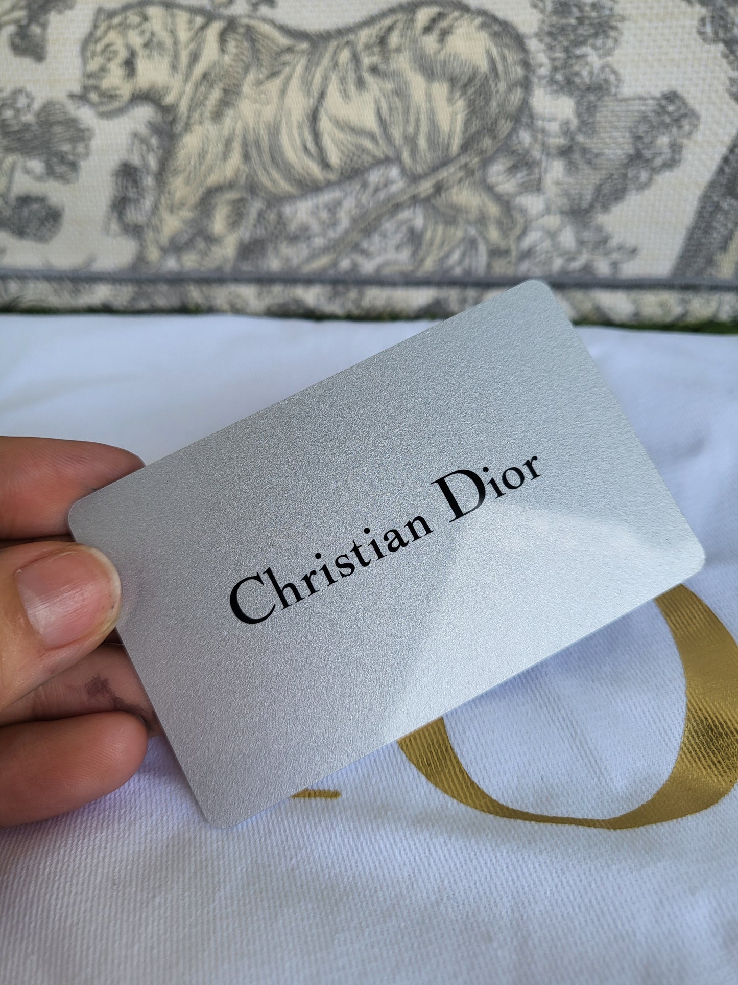 Christian Dior Booktote