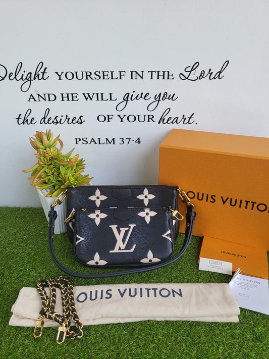 Louis Vuitton Multi Pochette