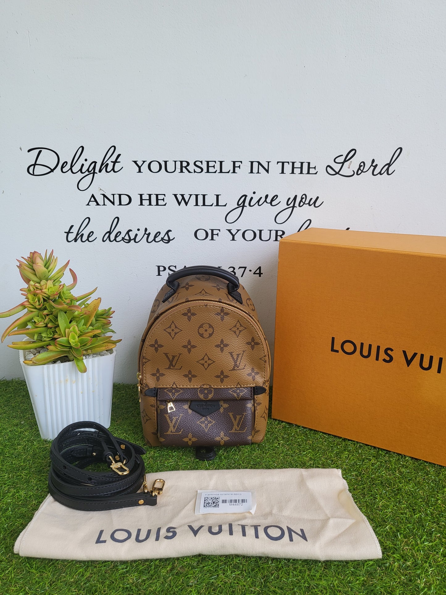 Louis Vuitton Palmspring Mini
