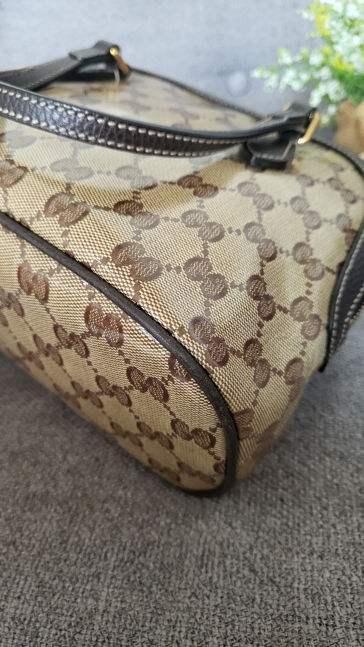 Gucci Dome coated canvas