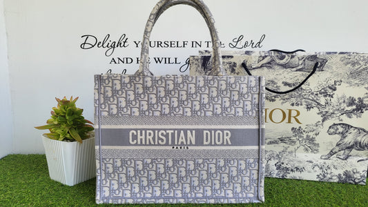 Christian Dior Booktote Small