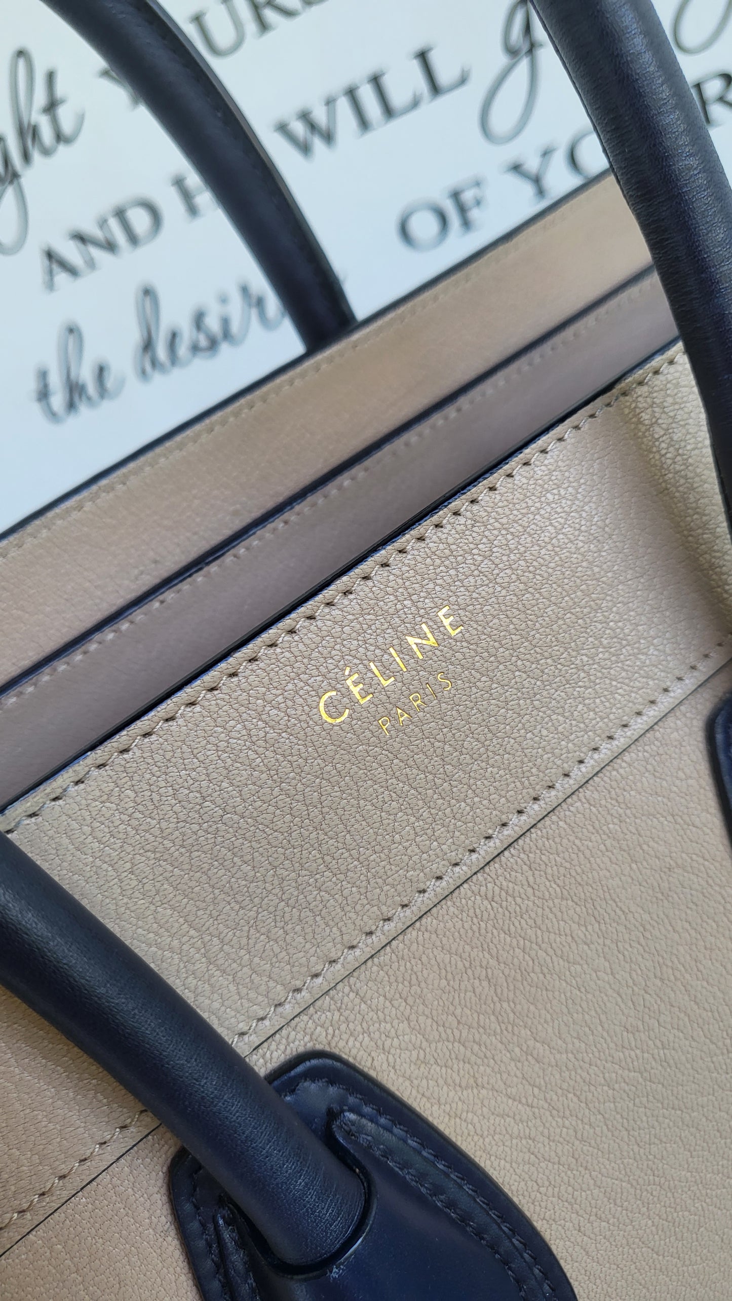 Celine Luggage Micro bi Color